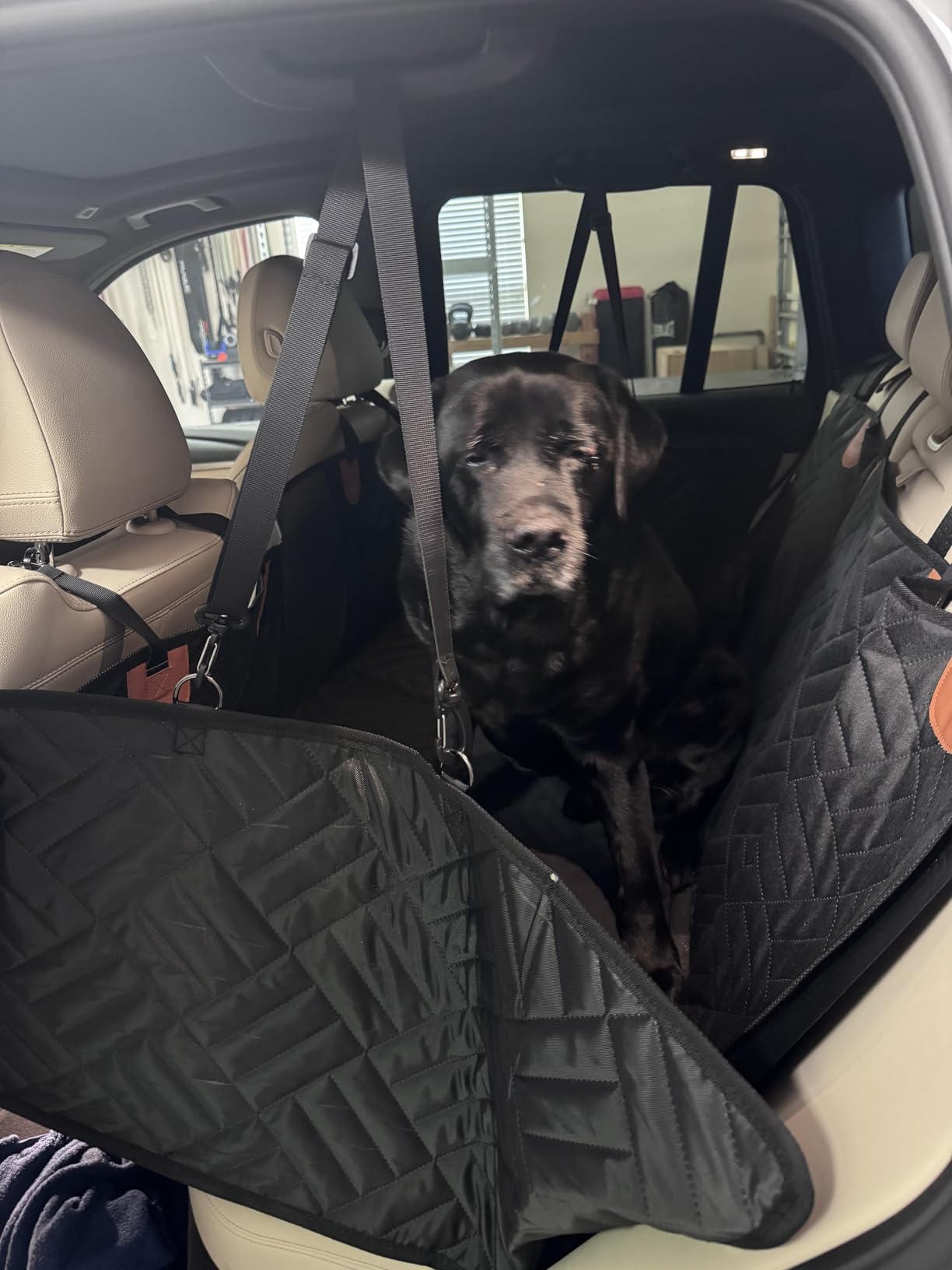 YJGF Back Seat Extender, Dog Seat Cover for Back Seat, Hard Bottom Car Seat Cover for Dogs, Dog Hammock for Car, Back Seat Pet Cover for Dogs (Black, for Car/SUV/Small Truck) customer photo 2