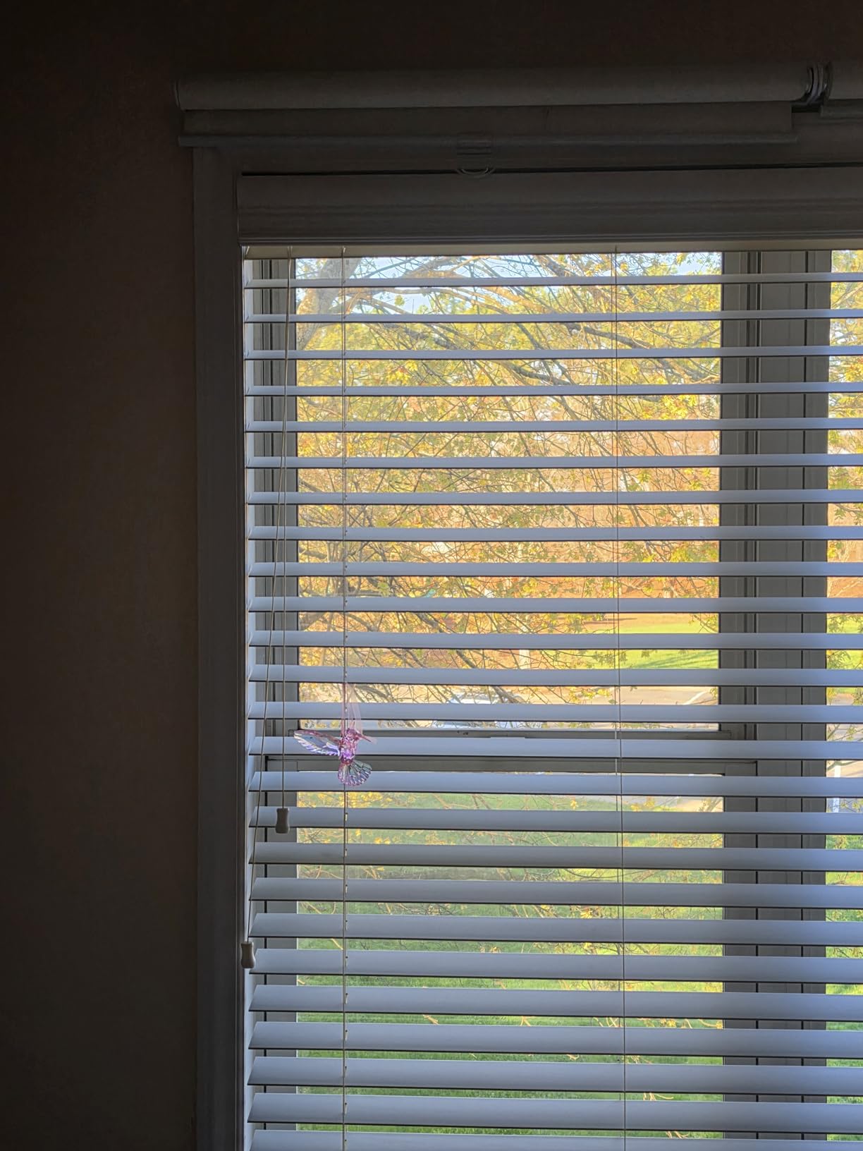 AOSKY Cordless Roller Shades Blackout Blinds for Windows Room Darkening Rolled Up Shades with Spring System, UV Protection Window Shades Door Blinds for Home and Office (23