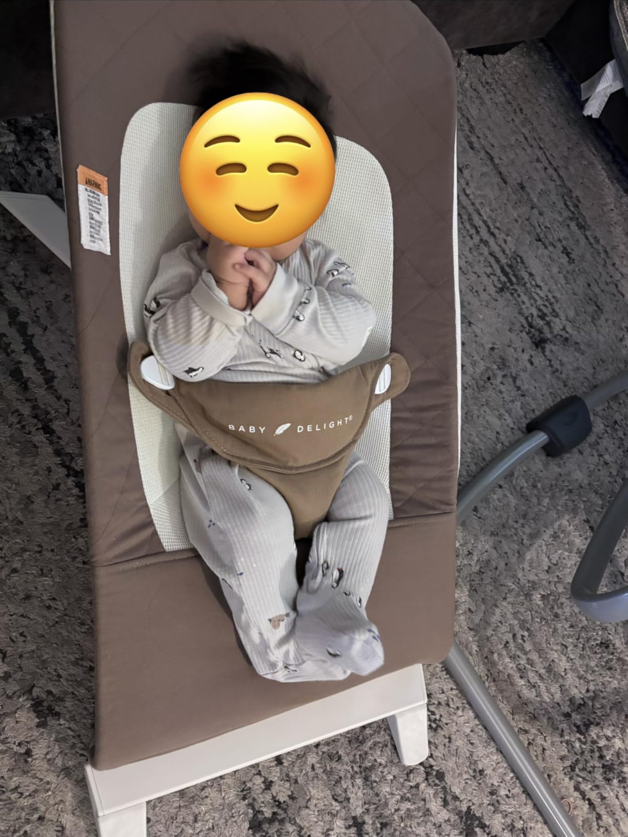 Baby Delight Alpine Wave Deluxe Infant Swing | Automated Motion Baby Lounger Seat | Infants 0-6 Months | Driftwood Grey customer photo 1