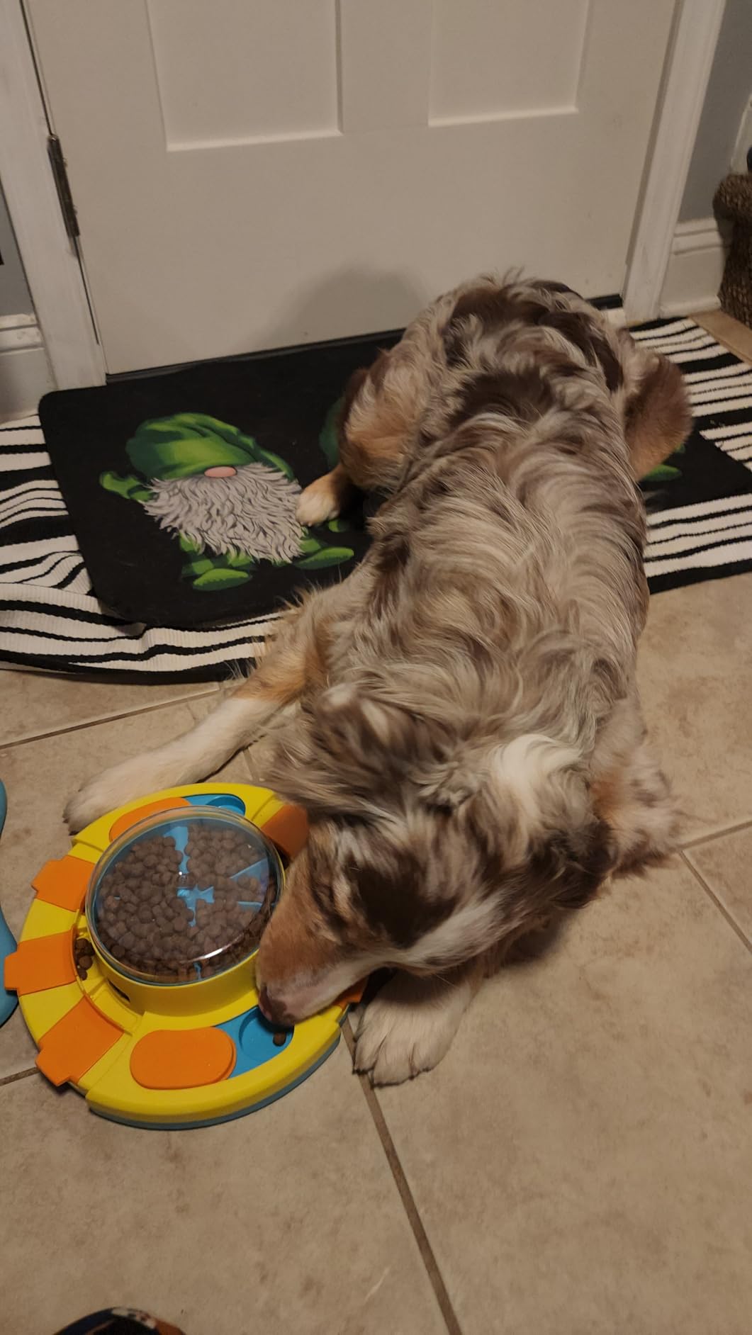 Potaroma Dog Puzzle Toy 2 Levels, Slow Feeder, Pup Food Treat Feeding Dispenser for IQ Training and Entertainment for All Breeds customer photo 2