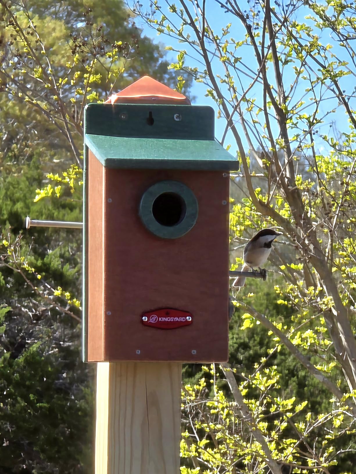 Kingsyard Recycled Plastic Bird House for Outdoor - Durable Nesting Box with Clear View Panel & Predator Guard customer photo 1