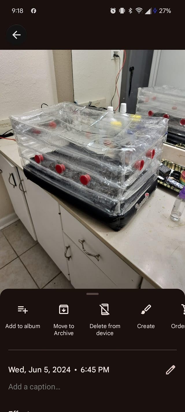 Boomer Shroomer Inflatable Monotub Kit with Drain Port, Plugs & Filters, Removable Liner customer photo 1