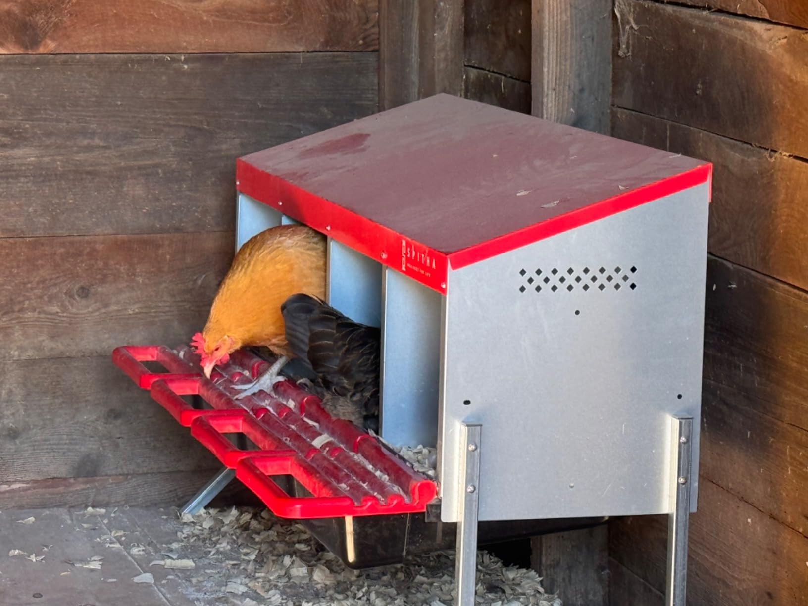 Nesting Boxes for Chickens - 4 Hole Roll Out Chicken Nesting Box with Reverse Egg Collection, Galvanized Steel Coop Nest with Perch, Fits Up to 20 Hens customer photo 2