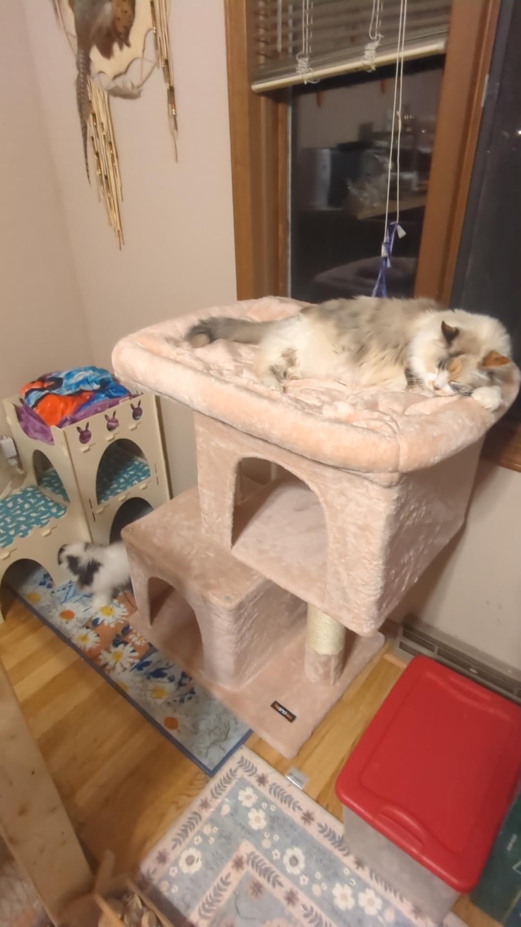Feandrea Cat Tree, 26.4-Inch Cat Tower, Plush Condo for Kittens up to 7 lb, Large Perch, 2 Caves, Scratching Post, Light Gray UPCT611W01 customer photo 1