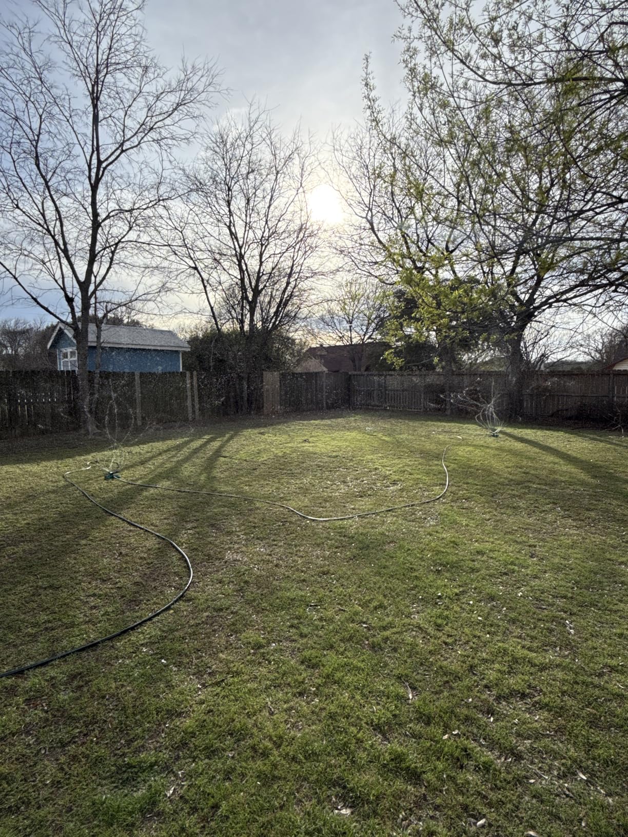 Joeys Sprinkler for Yard, Rotating Garden Sprinkler for Large Area Coverage, Lawn and Yard Sprinklers (Green) customer photo 1