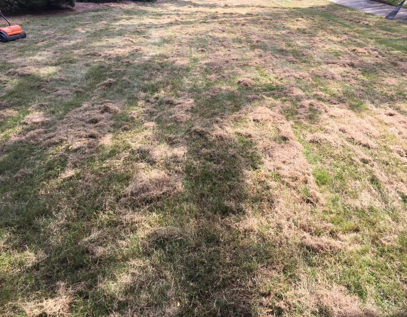 LawnMaster GVB1316 Electric 16 inch 13 Amp Dethatcher and Scarifier customer photo 1