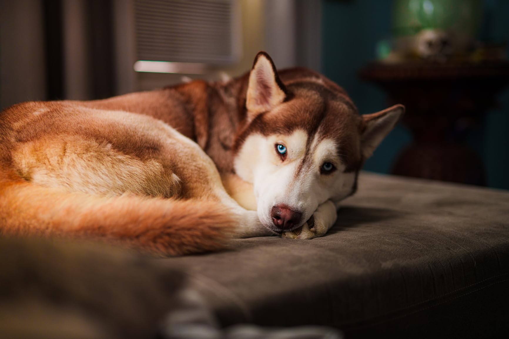 50mm F1.4 DG DN for Sony E customer photo 2
