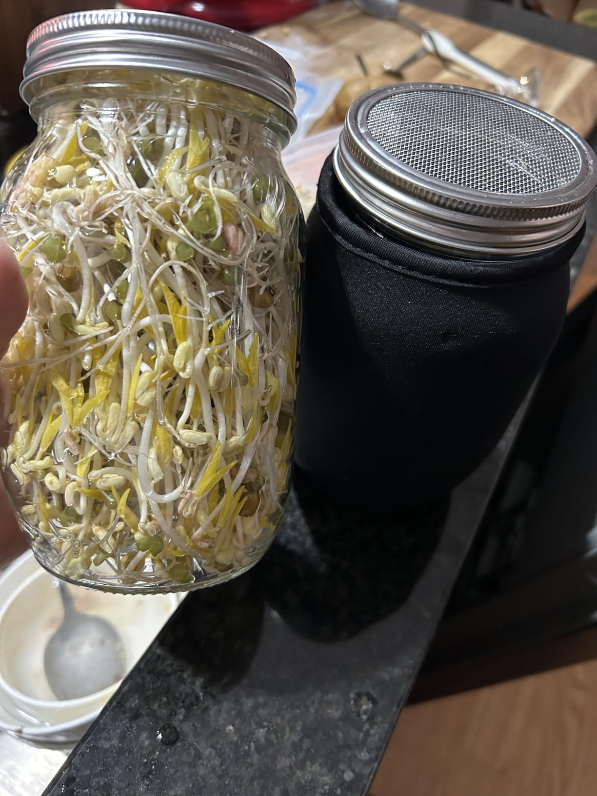 Kikerike Seed Sprouting Jar Kit with 4 Wide Mouth Mason Jars Bean Sprouts Growing Kit Microgreens Growing Jar with Mesh Screen Lids Sprouter Sprouts Maker for Growing Broccoli, Alfalfa, Mung Bean customer photo 1
