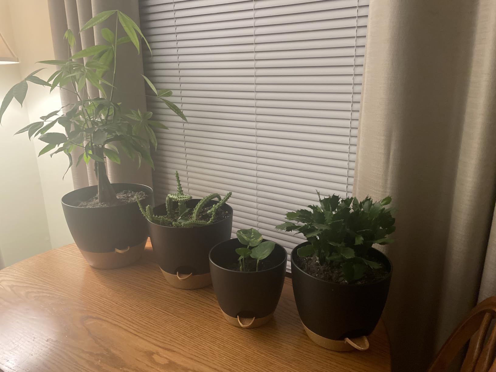 Plant Pots 10/9/8/7.5/7 Inch Self Watering Pots, Set of 5 Plastic Planters with Drainage Holes and Saucers, Plastic Flower Pots, Nursery Planting Pot for Indoor Out Door Plants (White) customer photo 2