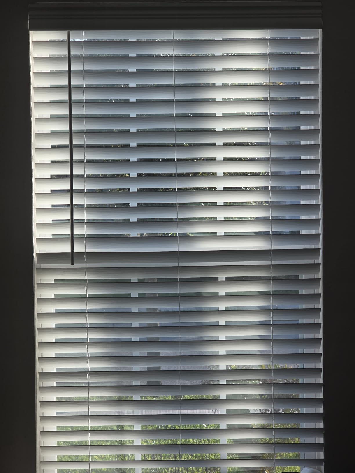 Lotus & Windoware Cordless 2 Inch Faux Wood Blind, 34