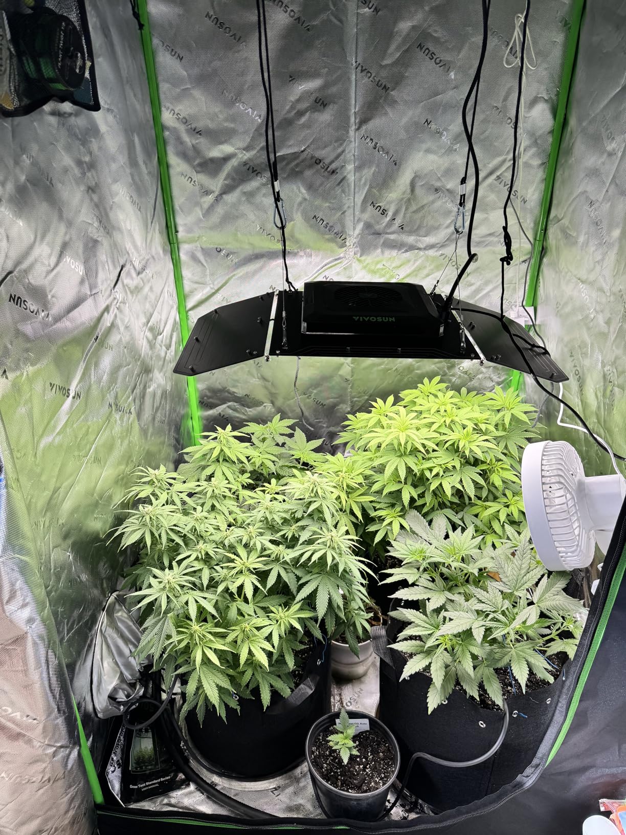 VIVOSUN Smart Grow Tent Kit, 4 × 2ft 2-Plant System, WiFi-Integrated Automatic Grow System with Full Spectrum LED Grow Light, Efficient Ventilation System with GrowHub E42A+ Controller customer photo 2