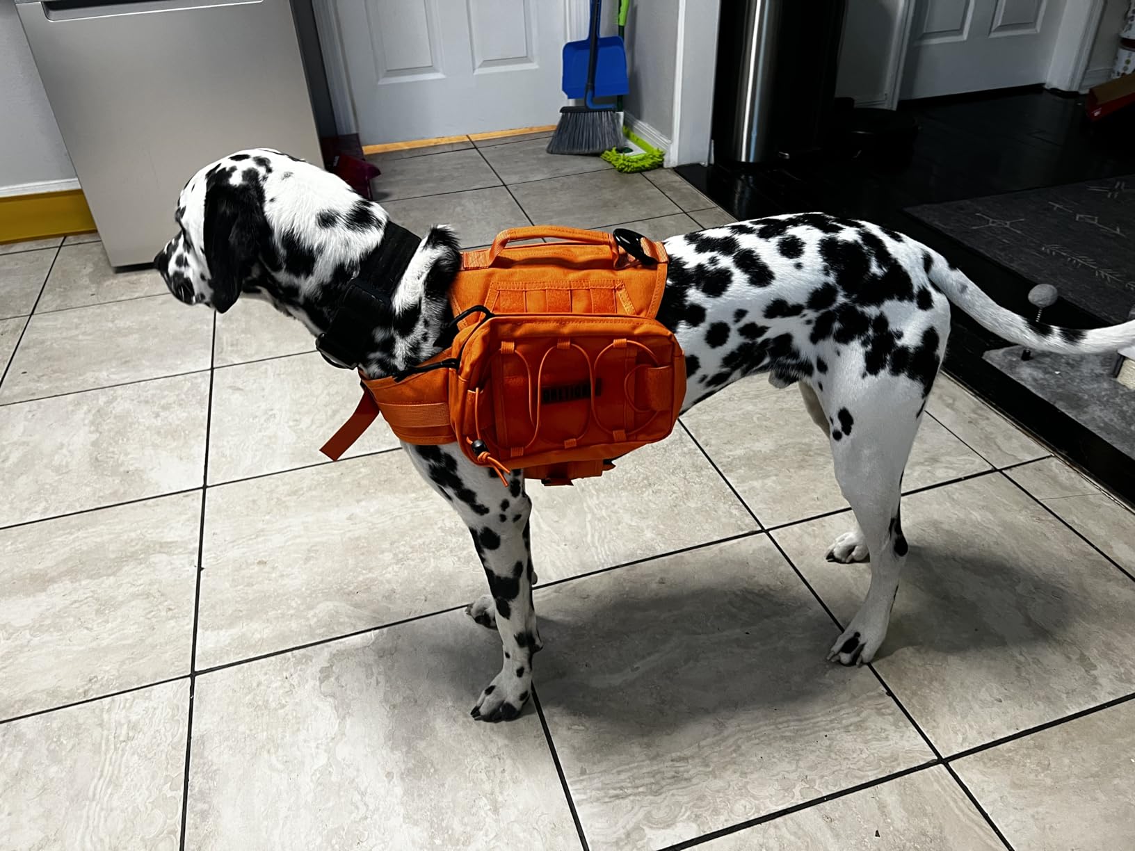 OneTigris Dog Backpack for Medium & Large Dogs, Mammoth Nylon Dog Pack Tactical Backpack Harness with Side Pockets customer photo 2