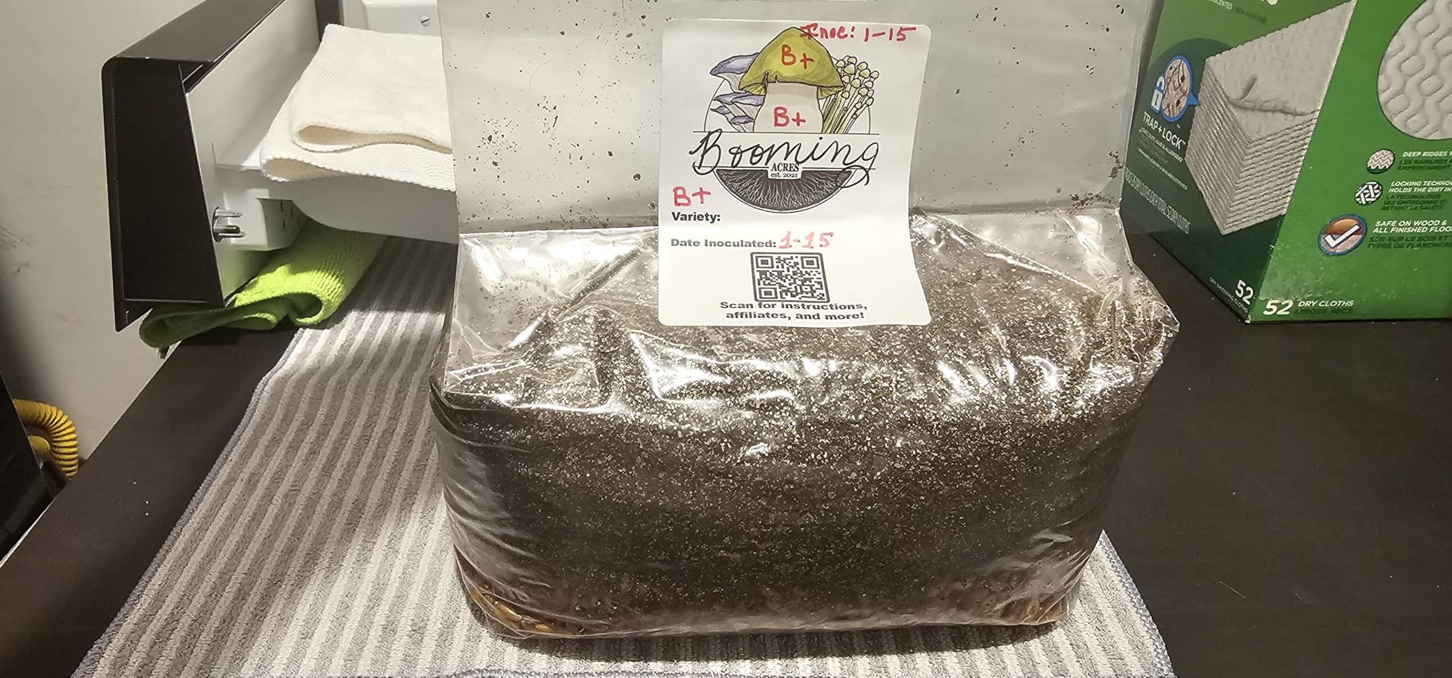 The Magical 5lb All-in-One Mushroom Grow Bag | Harvest Your own Happiness | 5lb Grow Bag Mushroom Starter Kit customer photo 1