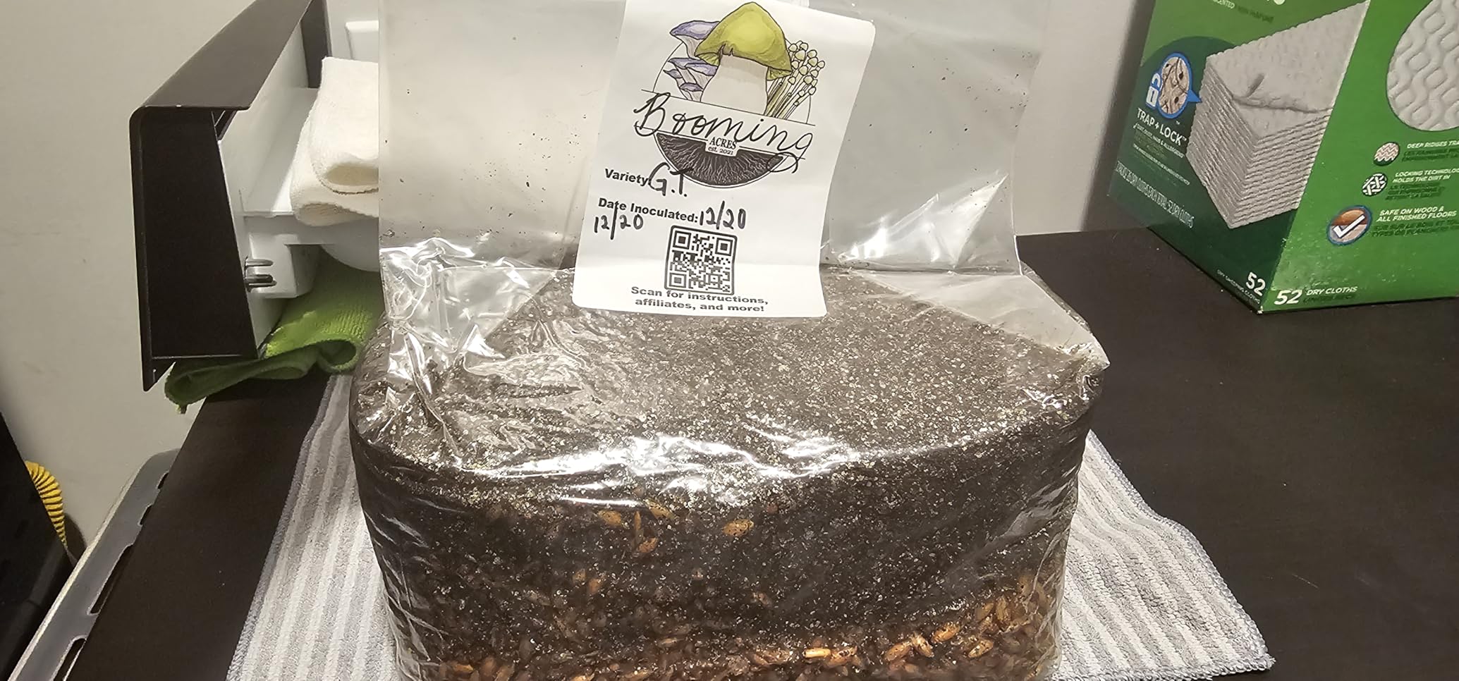 The Magical 5lb All-in-One Mushroom Grow Bag | Harvest Your own Happiness | 5lb Grow Bag Mushroom Starter Kit customer photo 2