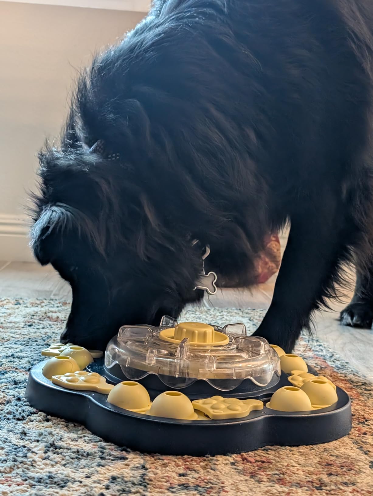 KADTC 3 Levels of Step-by-Step Challenge, Large Size, Dog Puzzle Feeder Toy - Spin-to-Release Treat Dispenser customer photo 1