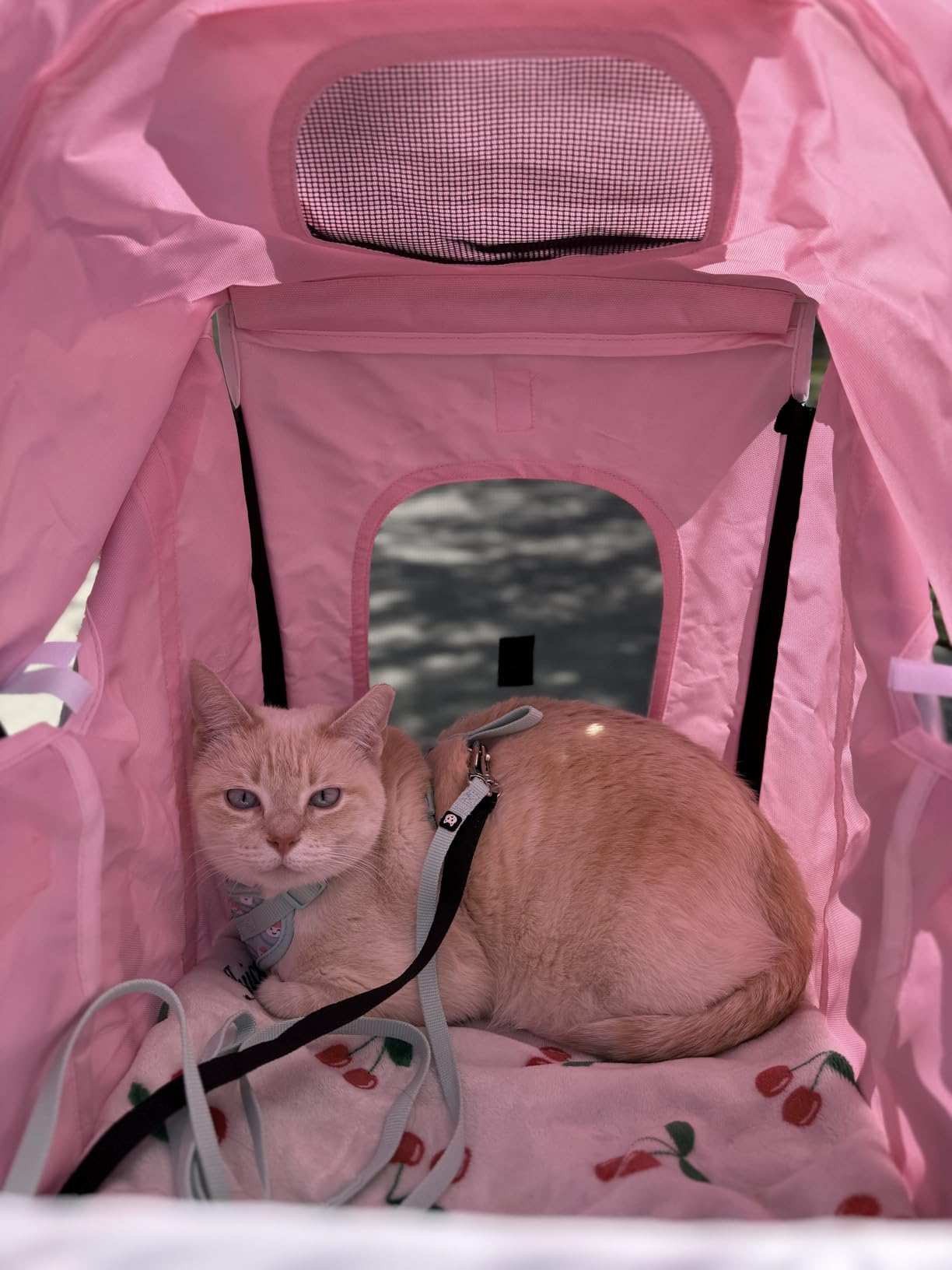 MoNiBloom 3 Wheels Pet Stroller, Foldable Dog Cat Cage Jogger Stroller with Weather Cover for All-Season, Storage Basket and Cup Holder, Breathable and Visible Mesh for Small/Medium Pets, Blue customer photo 2