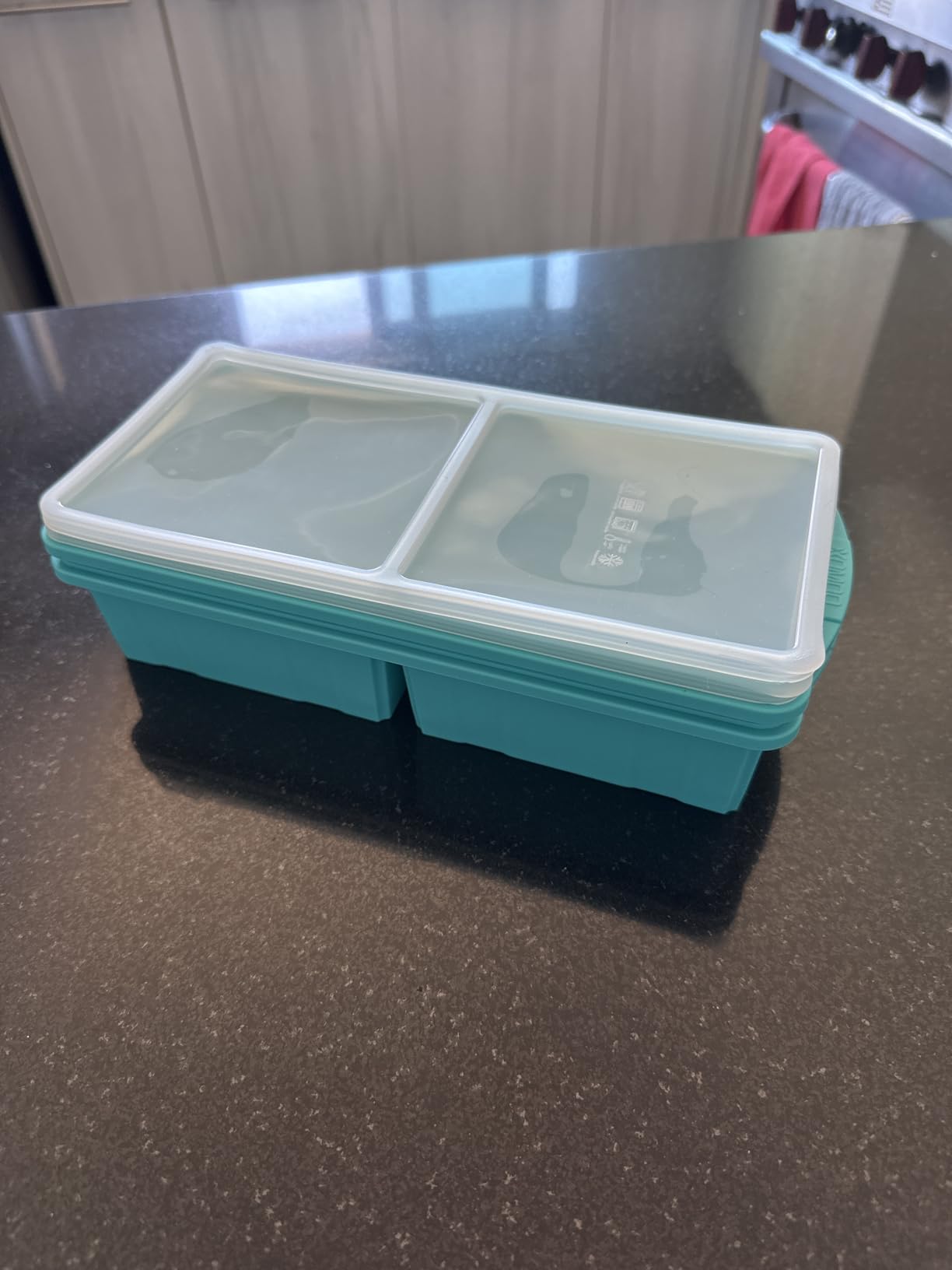 Silicone Freezer Tray With Lid-Soup Freezer Container molds-2-cup Extra Large Ice Cube Tray-makes 4 perfect 500ml portions cubes, For freezing soup, stews, sauces. Oven & Dishwasher-Safe (2-Pack) customer photo 2