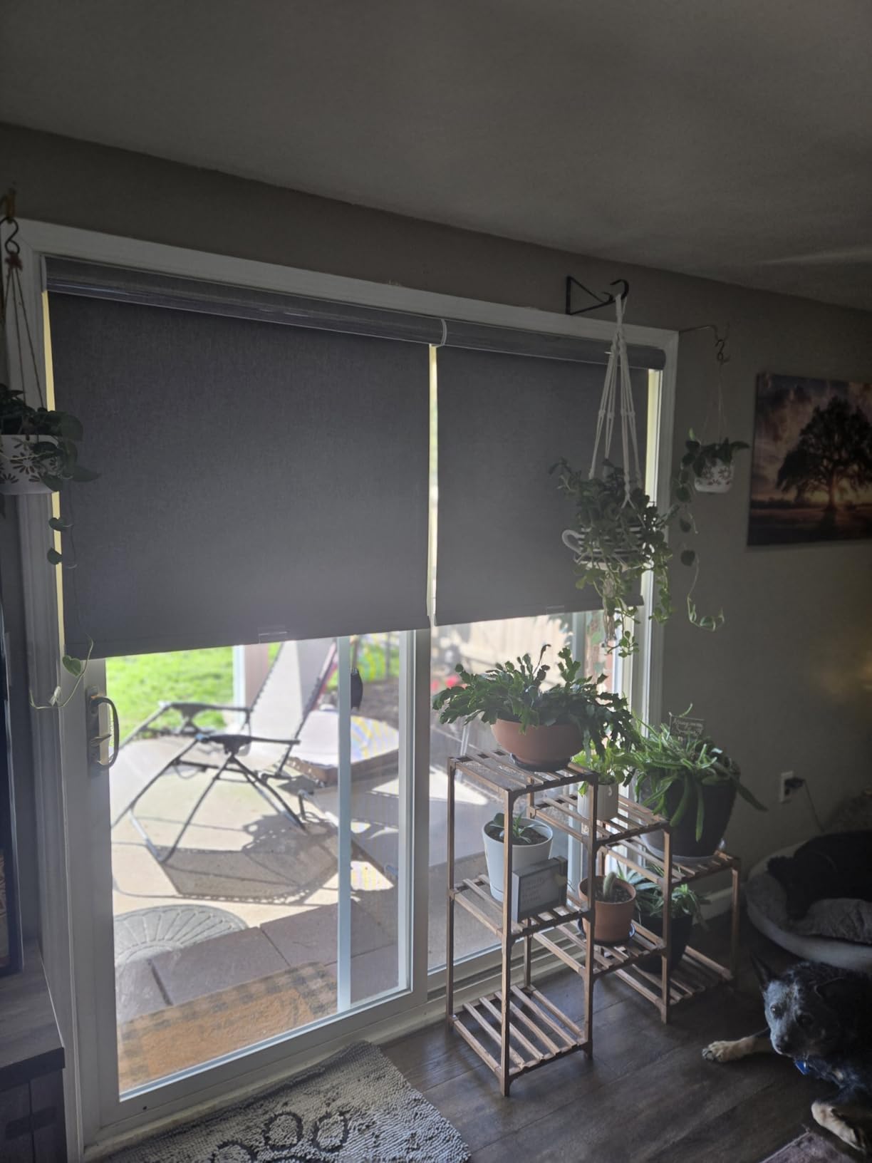 Boolegon Blackout Roller Shades for Windows, Cordless, Linen Fabric, Roller Blinds, Thermal Insulated Fabric UV Protection, Window Shades for Home, Office, Bedroom, Door, Blackout-Gray, Custom Size customer photo 1