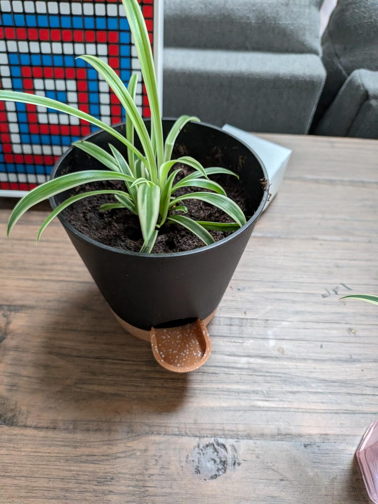 Indoor Self Watering Planters with Drainage Holes and Saucers, 8, 7, 6.5, 6, 5.5, 5 Inches, Black, 6 Pots customer photo 2