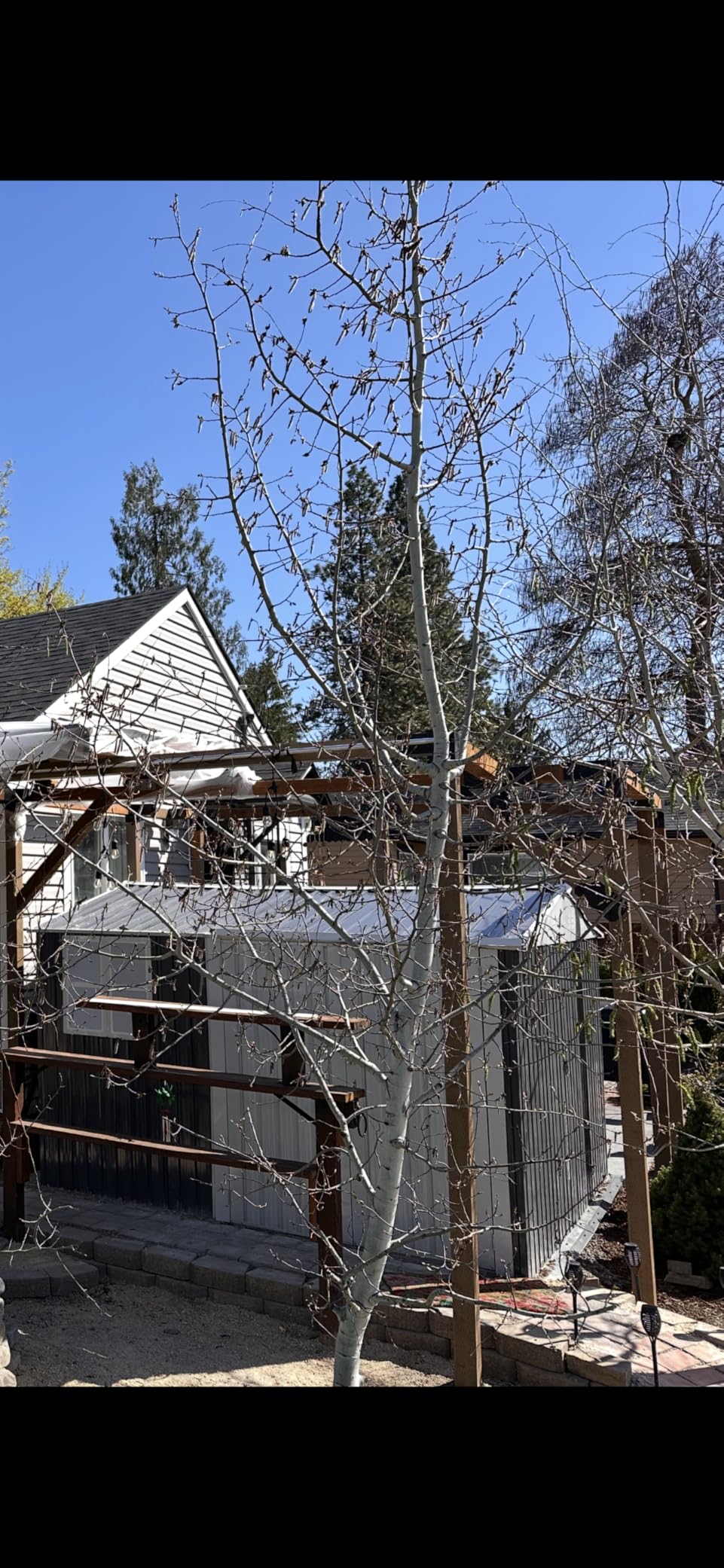 Pergola Kit for 4