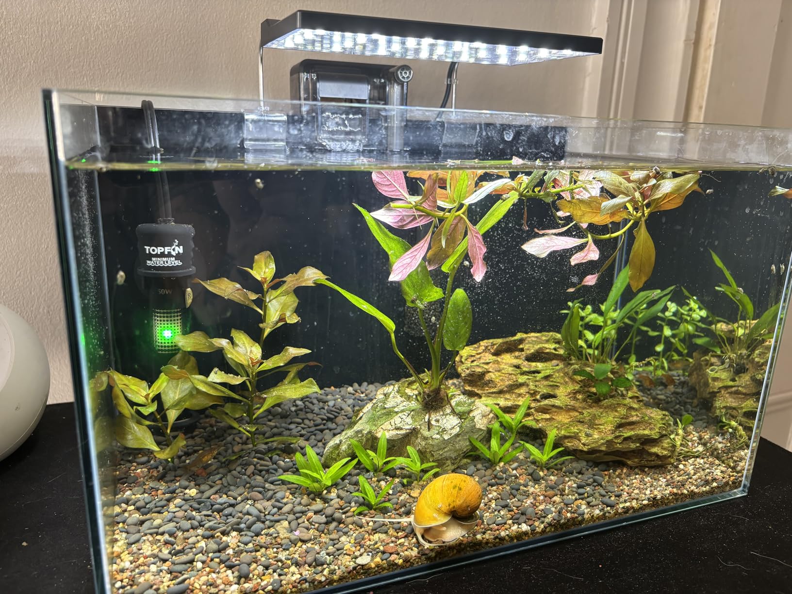 NICREW Slim Aquarium Filter, Quiet Fish Tank HOB Filters for up to 5 Gallon Aquariums, Adjustable Flow, 42 GPH, 3W customer photo 2
