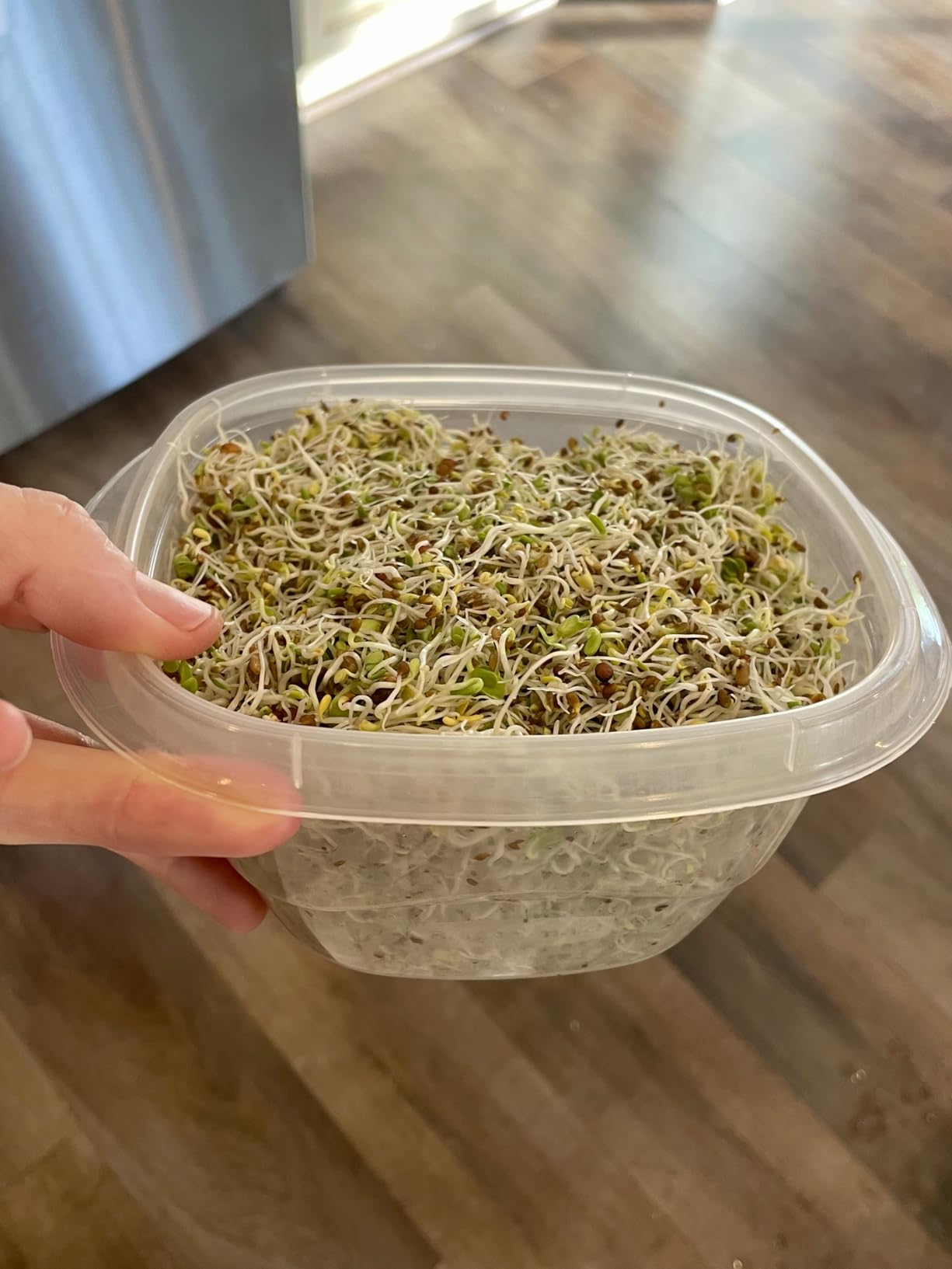 Organic Seed Sprouting Jar Kit - 2 × 32 oz Wide-Mouth Mason Jars with Stainless-Steel Sprouter Lids & Stand, Blackout Sleeves, Drain Tray - Grow Broccoli, Alfalfa & Bean Microgreens customer photo 2