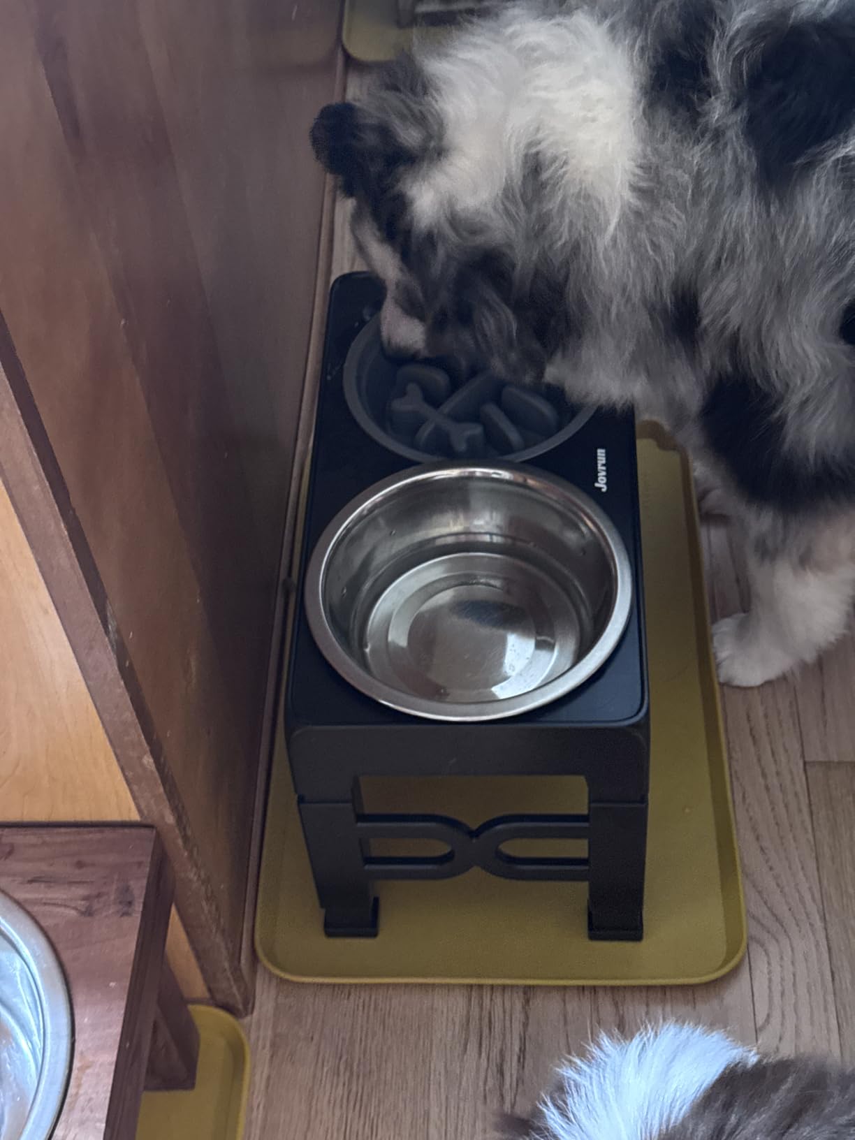 Jovrun Elevated Dog Bowls for Medium Large Size Dogs, Non-Slip Dog Feeder with 1*Stainless Steel Dishes & 1*Slow Feeder Bowl, 5 Heights Adjustable Raised Bowls to 3.15