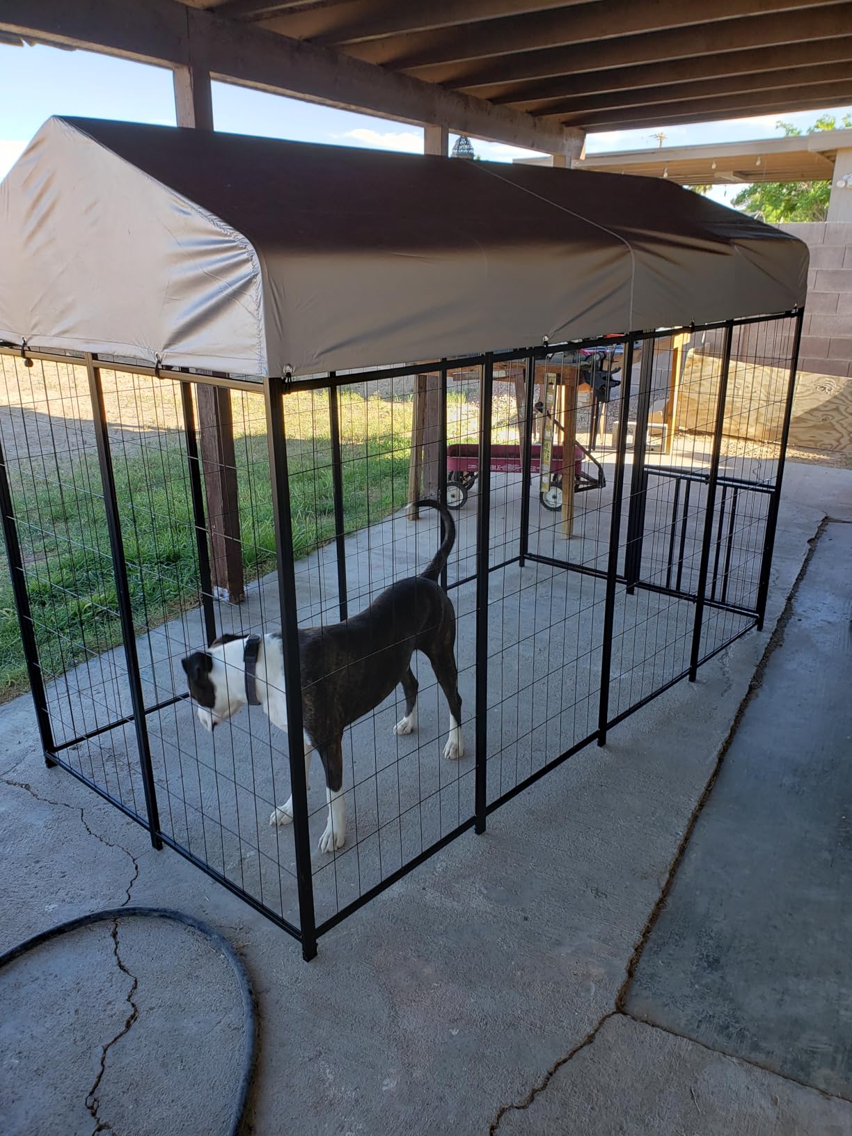 ROOMTEC Heavy Duty Outdoor Dog Kennel with Rotating Bowls, 8 x 4 x 5.6-ft customer photo 1