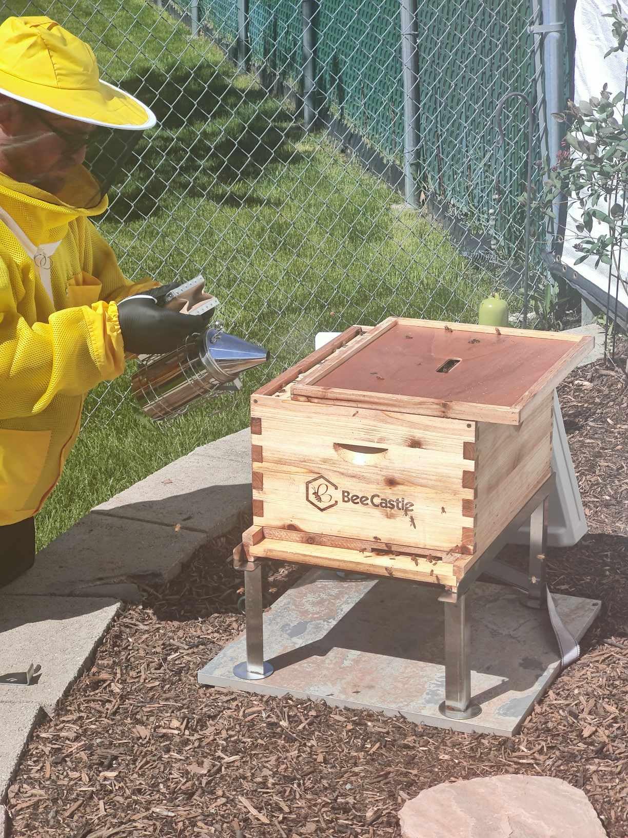 BeeCastle 2 Pack 3.5L Beehive Feeder Beehive Frame Feeder Deep Frame Water Feeder for Beekeeping customer photo 1