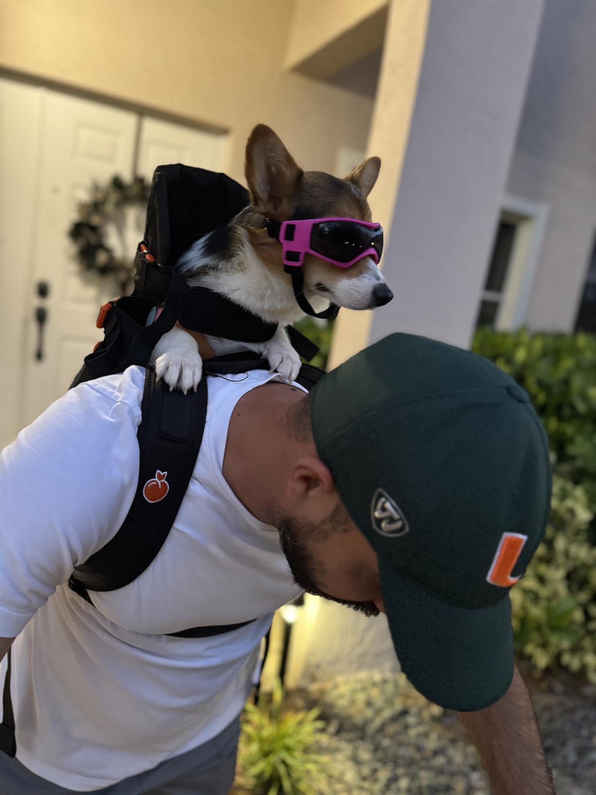 Maxine One Dog Backpack Carrier for Medium Dogs by Little Chonk - Adjustable & Ergonomic Front Facing customer photo 2
