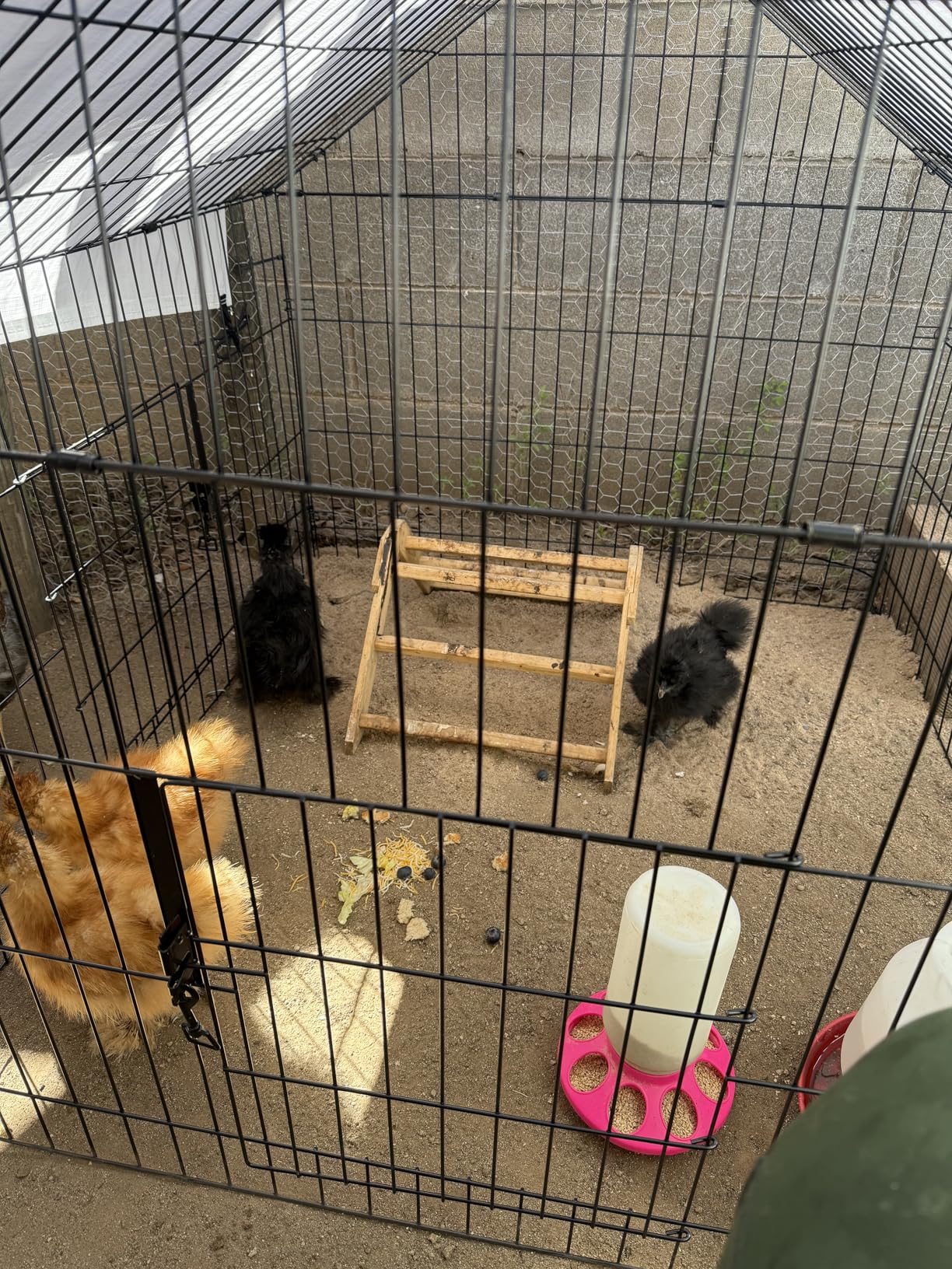 Metal Chicken Coop 86