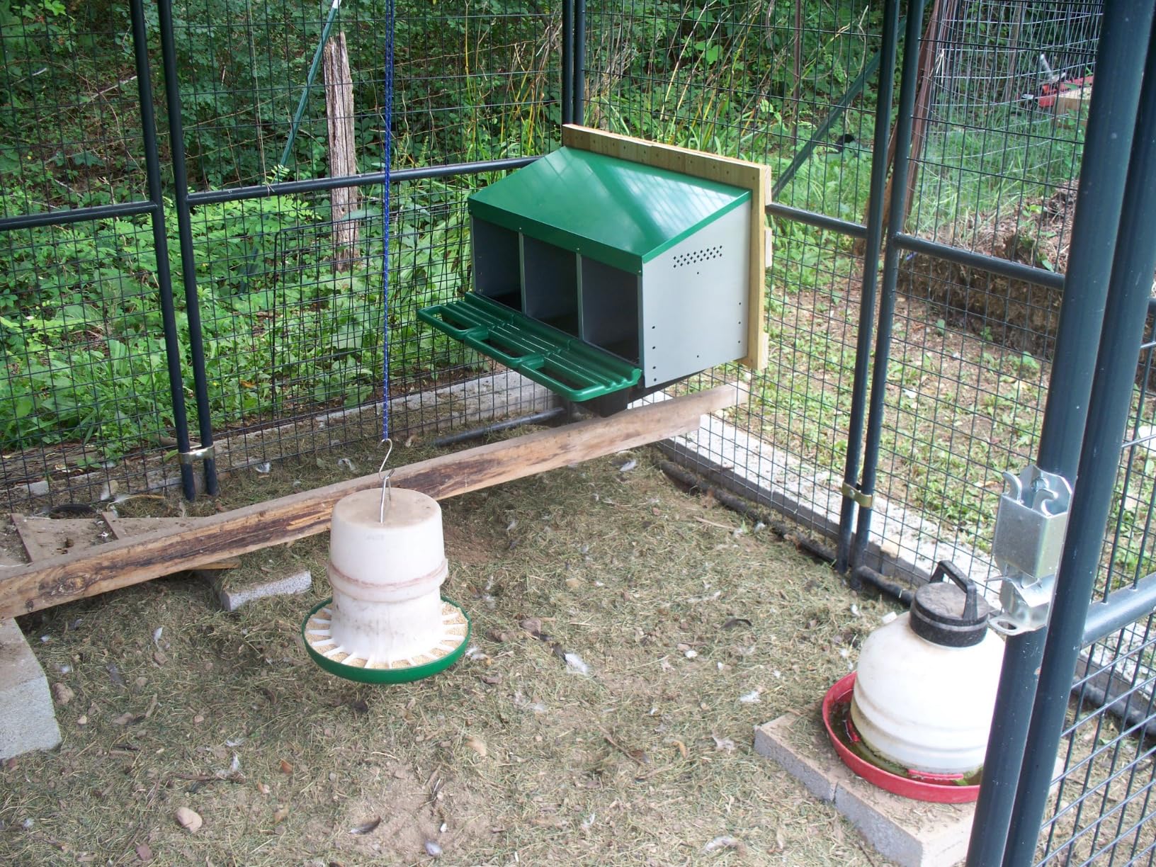 Chicken Nesting Box, 3 Compartments Chickens Egg Laying Nest Boxes for Hens Green customer photo 1