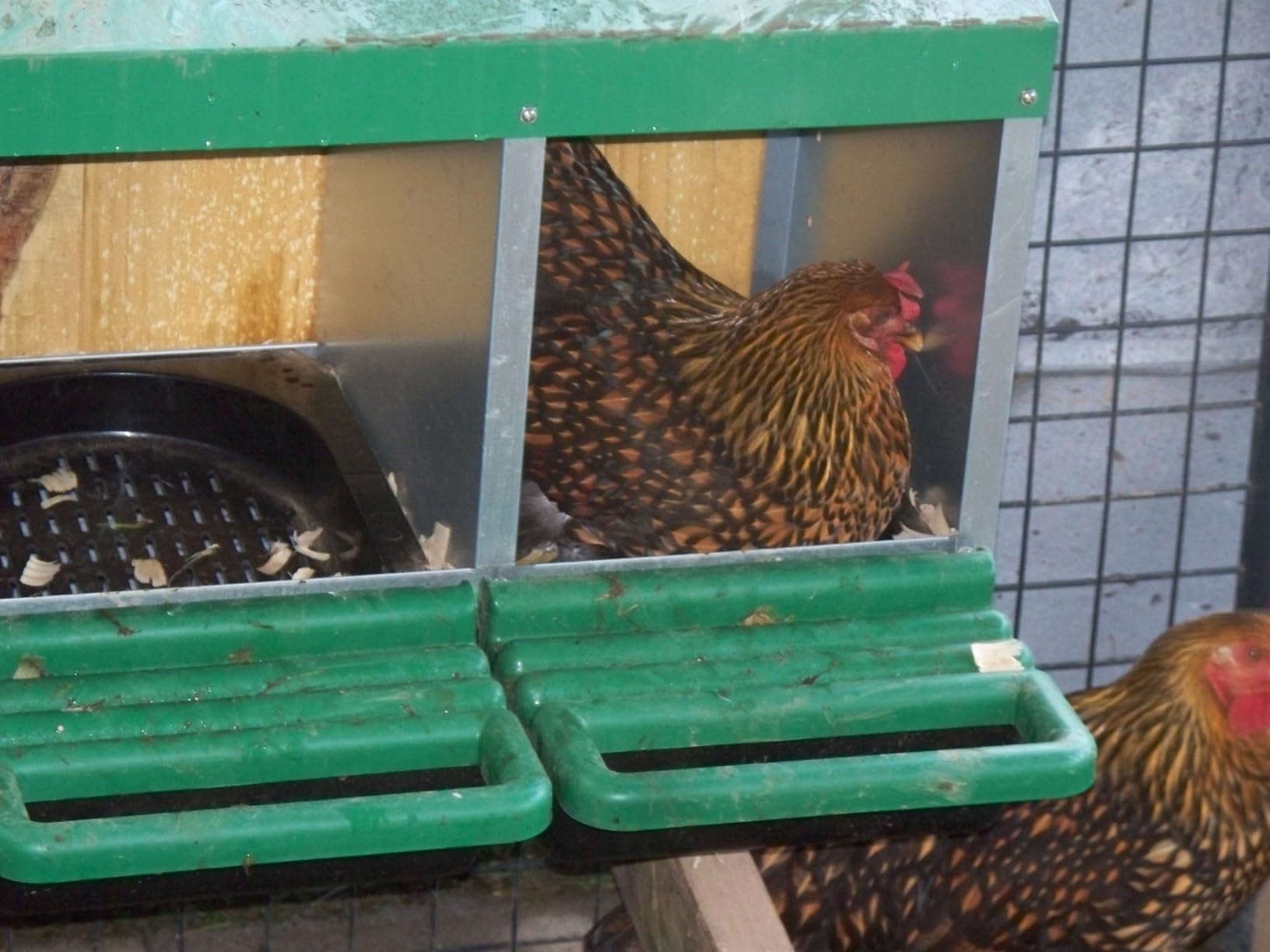 Chicken Nesting Box, 3 Compartments Chickens Egg Laying Nest Boxes for Hens Green customer photo 2