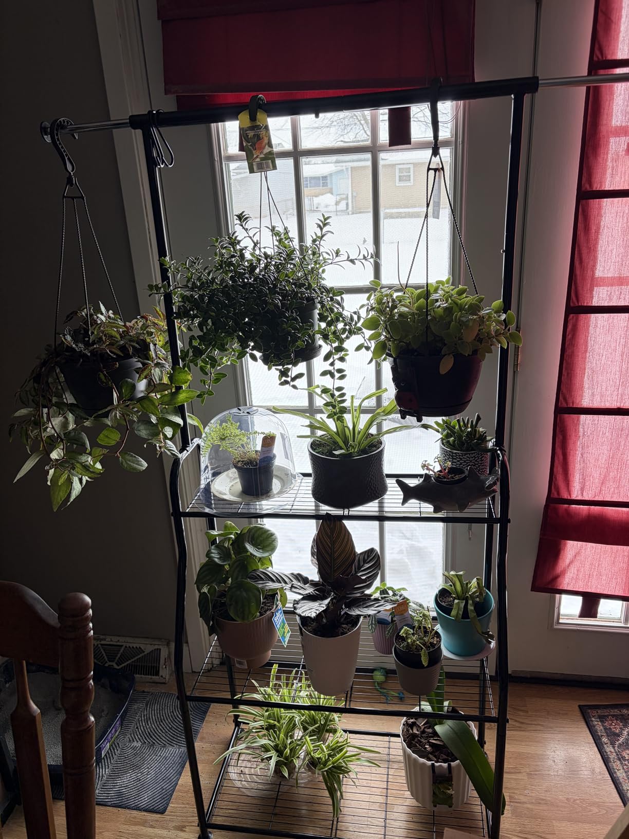 Simple Trending Plant Stand Indoor Outdoor, Heavy Duty Metal 3 Tiered Hanging Plant Shelf for Multiple Flower Planter Holder Tall Large Rack for Living Room Garden Balcony, Black customer photo 2