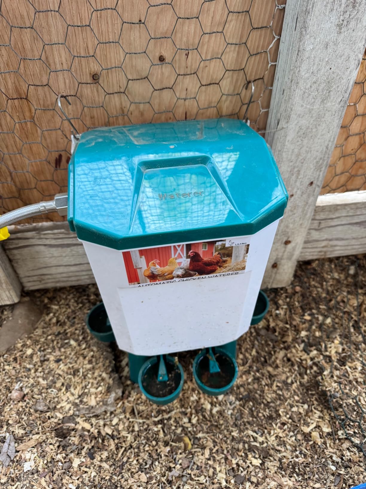 Lilyang Automatic Chicken Waterer| Float-Control Auto Waterer, Hanging/Standing Design, Connect to 3/4'' Faucet & Hose, Effortless Hydration Solution for Backyard Coop & Small Farm customer photo 1