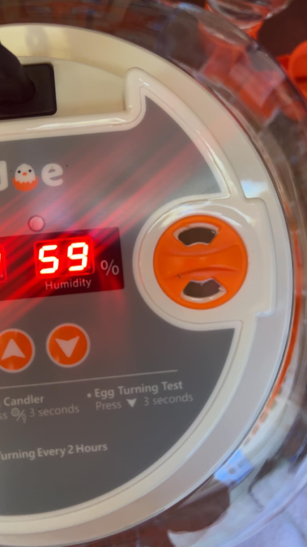 APDOE Egg Incubators for Hatching Eggs, Temperature and Humidity Control, Automatic Egg Turning, Egg Candler, External Water Bottle, Air Vent, for Chicken, Duck & Quail Eggs, 12 Eggs customer photo 2