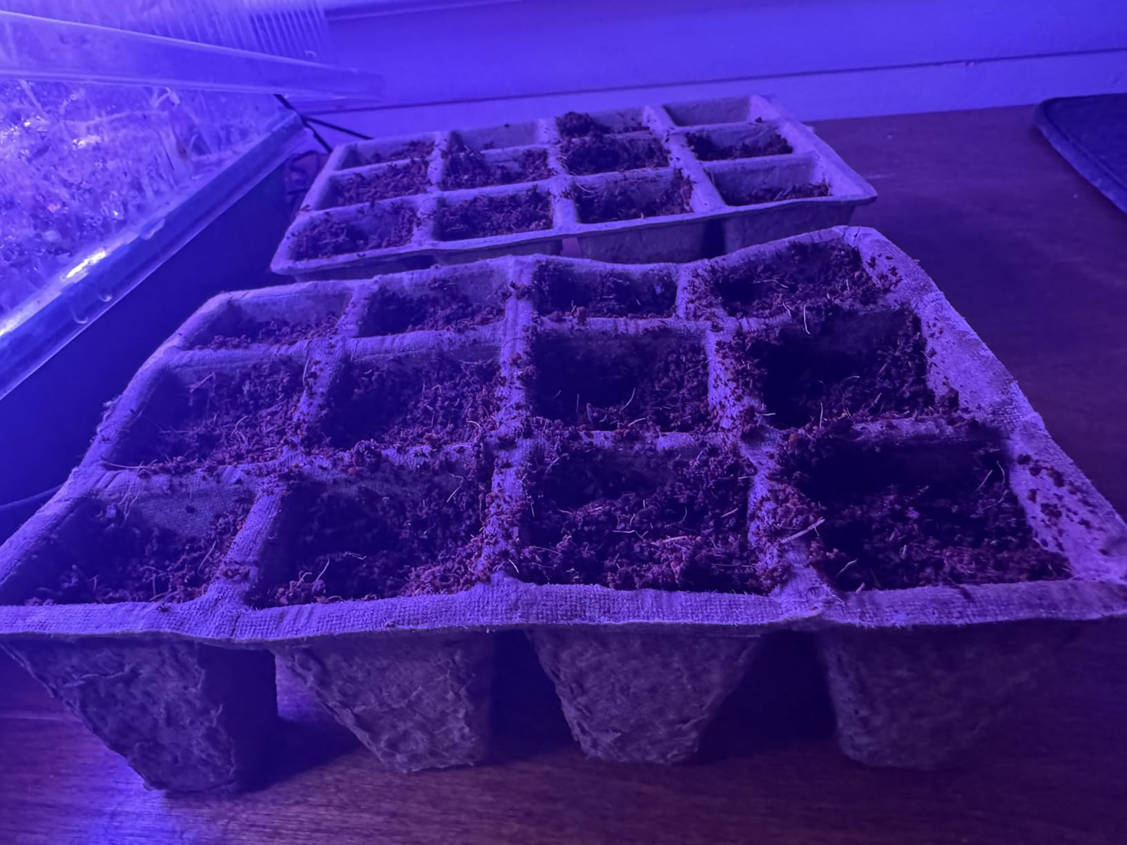 120 Cells Seed Starter Tray, 10 Pack Biodegradable Peat Pots with 100 Labels, Plant Starter Kit for Seedlings customer photo 1