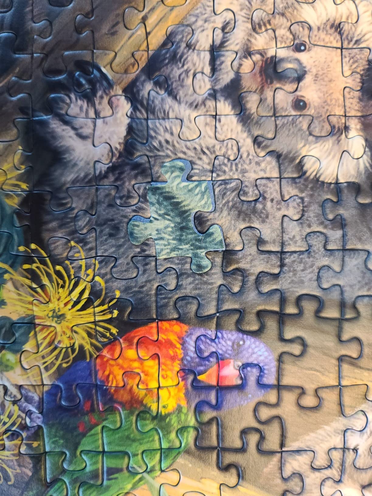 Ravensburger Koalas in a Tree 500 Piece Jigsaw Puzzle for Adults - Handcrafted Tooling, Made in Germany, Every Piece Fits Together Perfectly customer photo 1