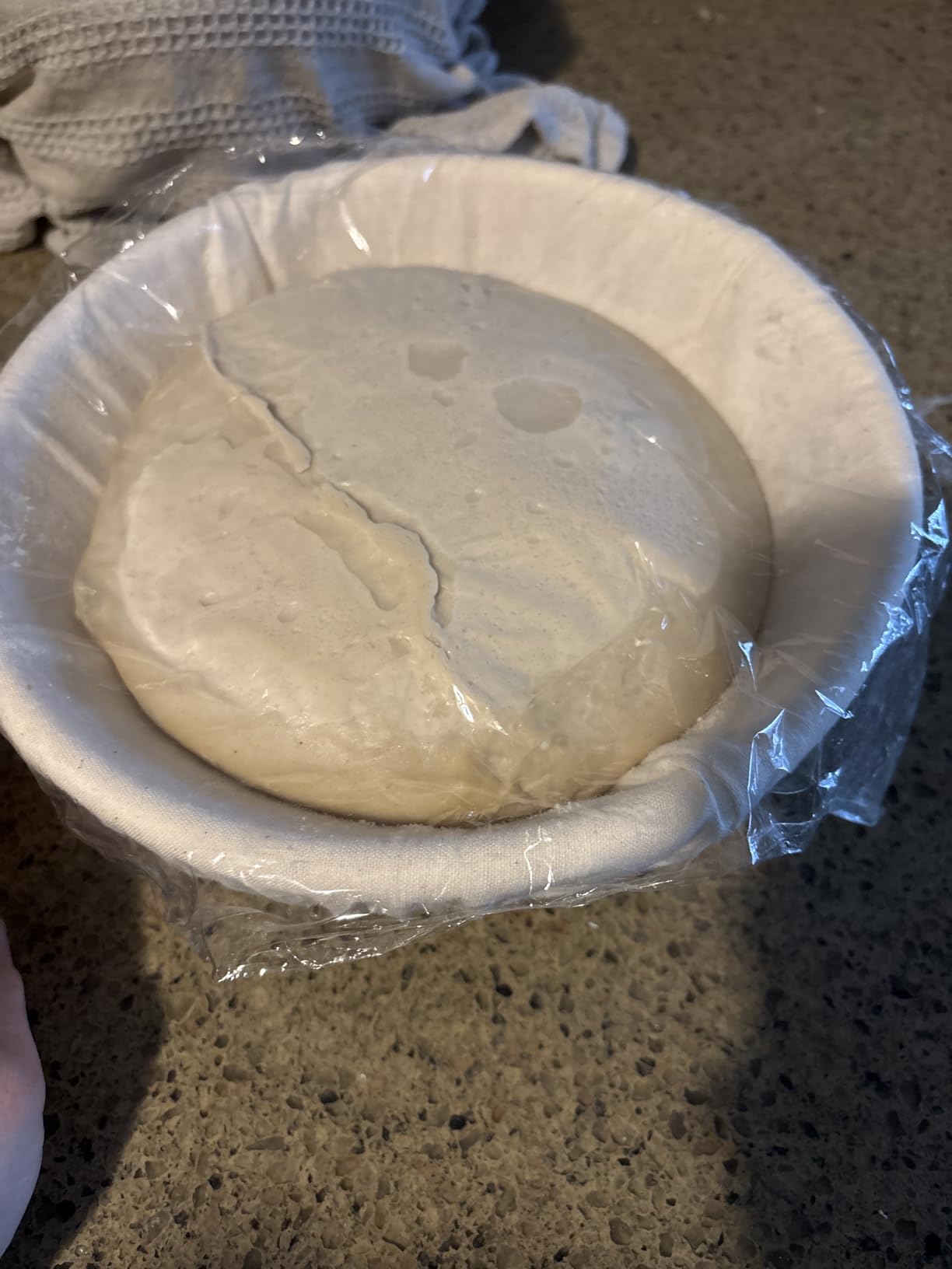 2 Pcs Bread Proofing Basket Cloth Liner Baking Dough Basket Cover Natural Rattan Banneton Proofing Cloth for Bakery Home Baking, about 10 inch customer photo 2