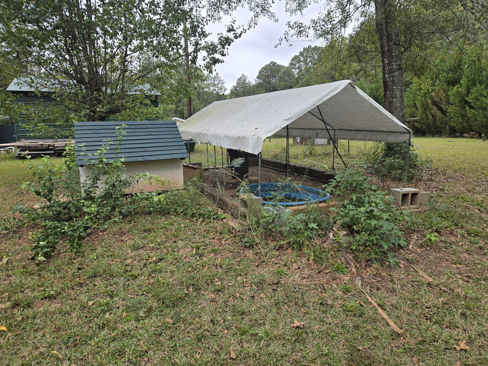 Quictent Large Metal Chicken Coop Run for 30+ Poultry with Side Hardware Cloth & Waterproof Cover, Advanced Series Outdoor Walk-in Cage Hen Duck Rabbit Dog Pen Yard Farm House, 18x9x6.6FT customer photo 2