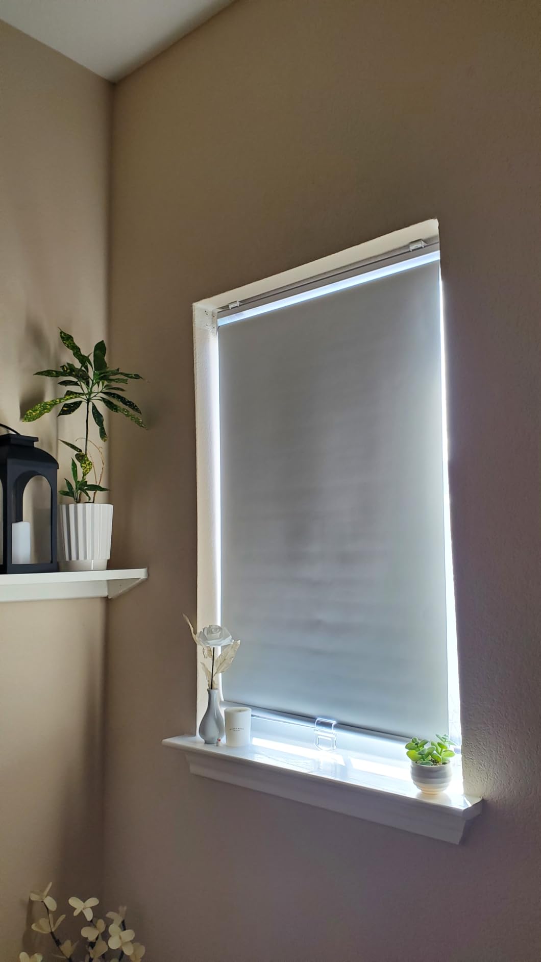 Cordless Roller Shades 100% Blackout Blinds for Windows and Doors, Pull Down Room Darkening Window Shades, Easy to Install for Home and Office, White, Fixed 75 Inches High, 33 Inches Width customer photo 2