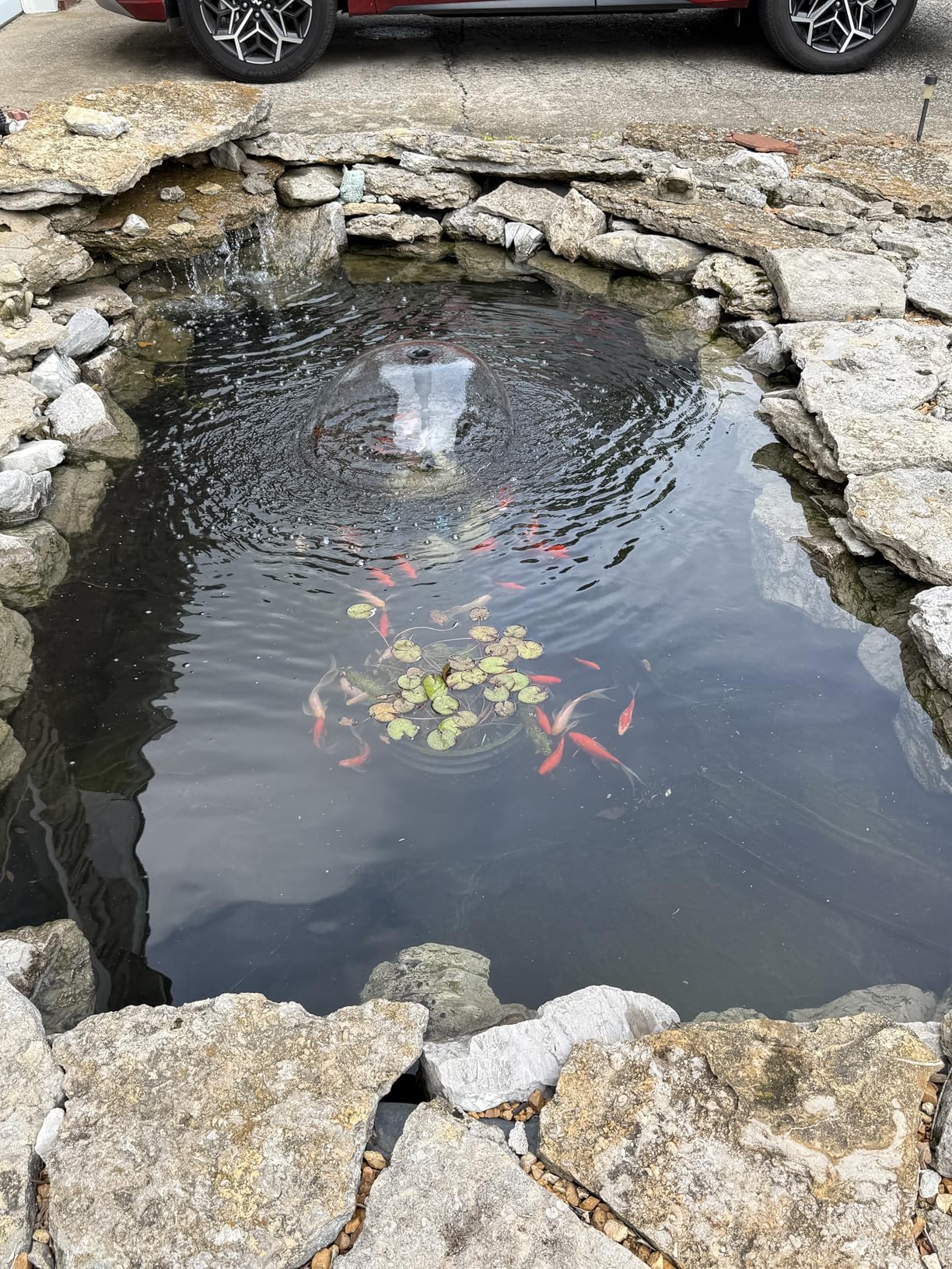 POPOSOAP Pond Filter with Pump Fountain Kits, 660GPH Pond Filter with 40W Pond Pump & Fountain Kit, Koi Pond Filters for Outdoor Ponds Clean, Clear, and Add Water Features customer photo 2