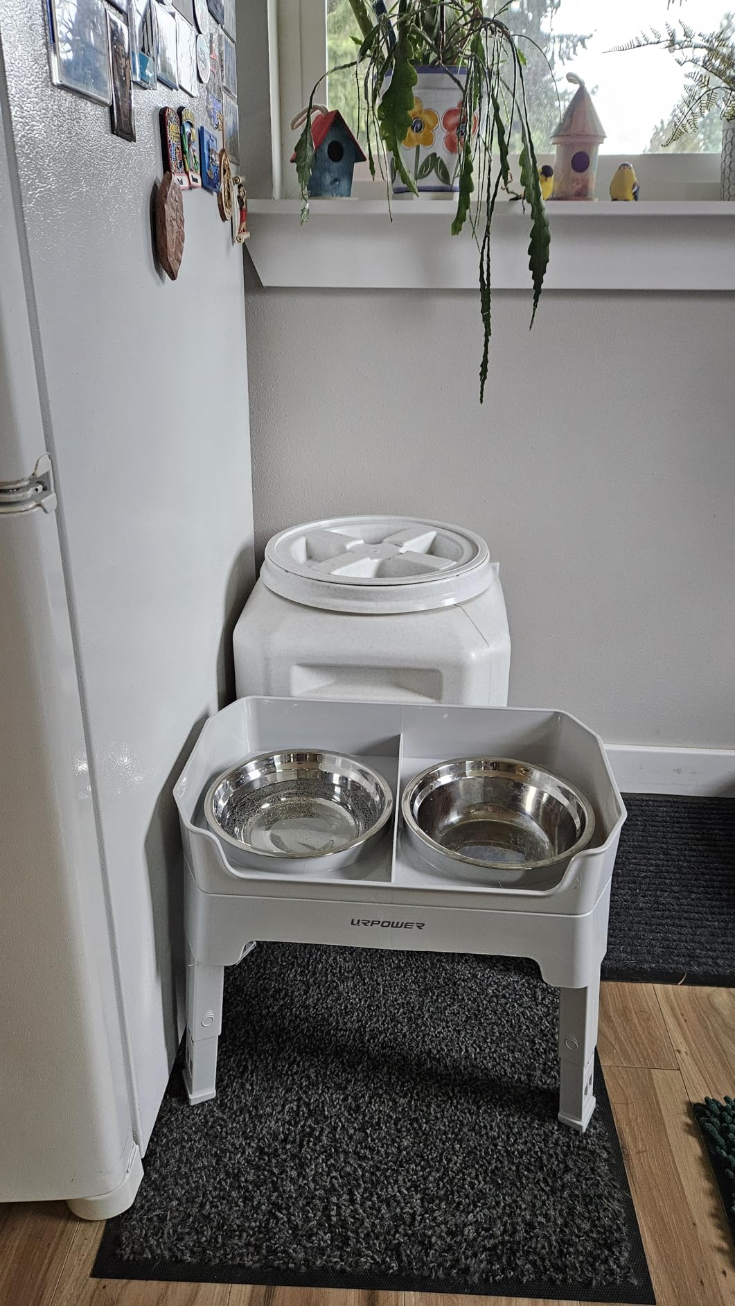 URPOWER 3-in-1 Elevated Dog Bowls - Mess Proof Double Deck 4 Height Adjustable Raised Stand with 2 Stainless Steel Food Bowls & Licking Plate for Small, Medium & Large Dogs customer photo 2