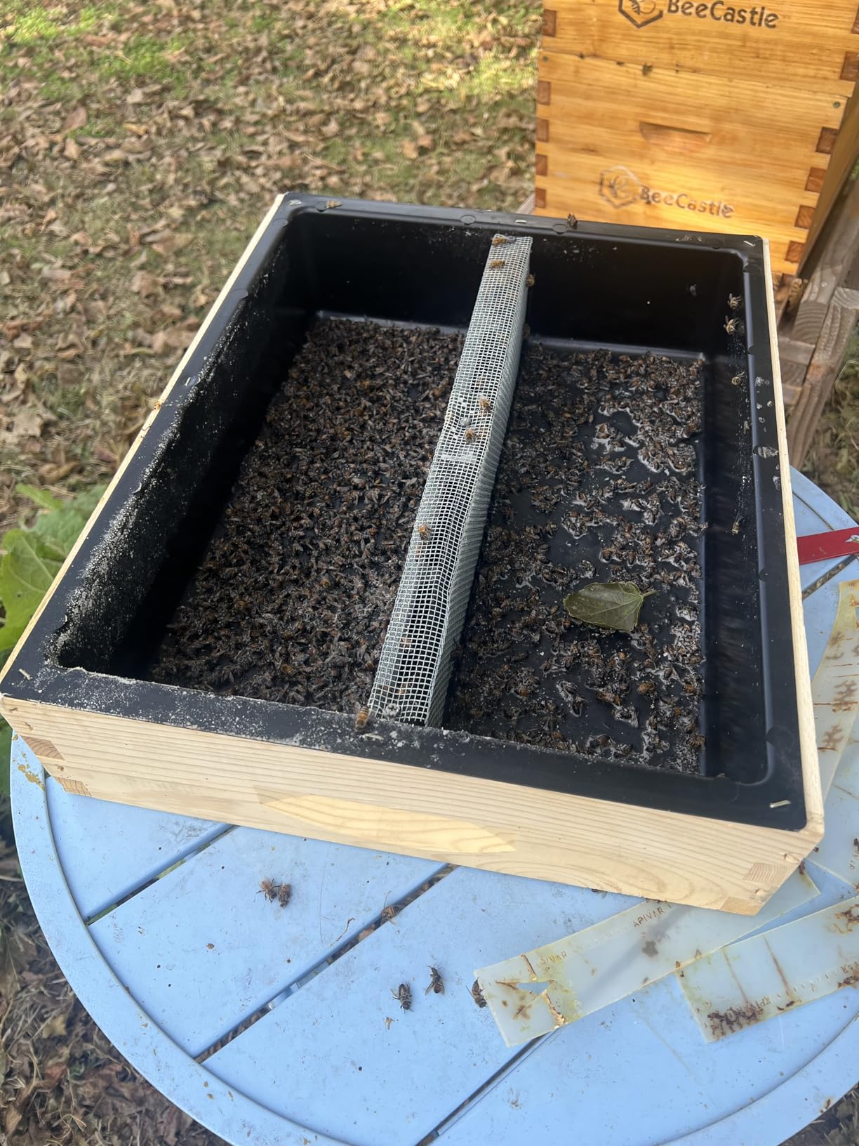 Mann Lake Top Hive Feeder with Unpainted Wood Super, Leakproof Single Piece Plastic Reservoir, Galvanized Steel Safety Screen, Deep High Capacity Feeder Insert for Honey Bees customer photo 1