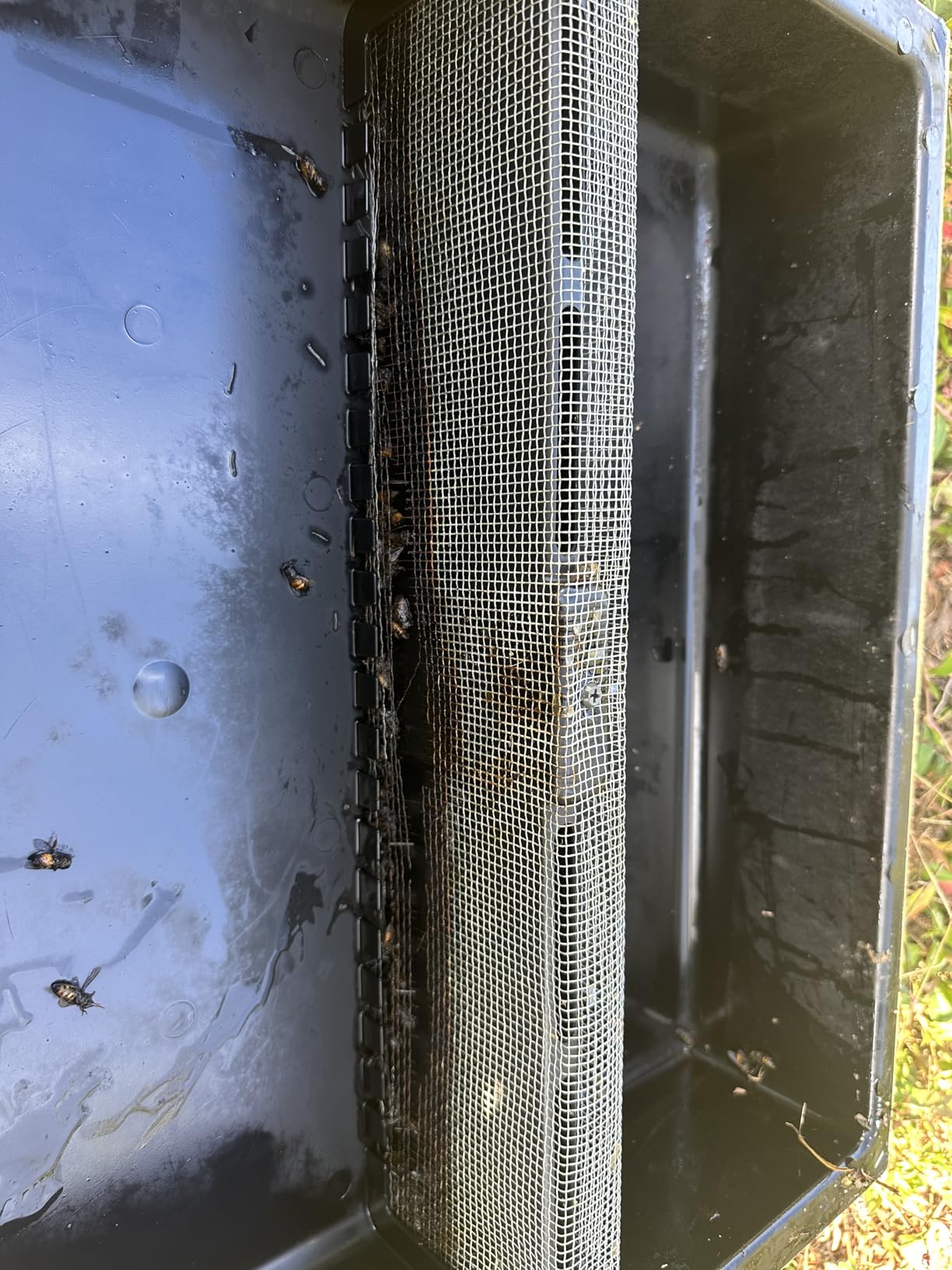Mann Lake Top Hive Feeder with Unpainted Wood Super, Leakproof Single Piece Plastic Reservoir, Galvanized Steel Safety Screen, Deep High Capacity Feeder Insert for Honey Bees customer photo 2