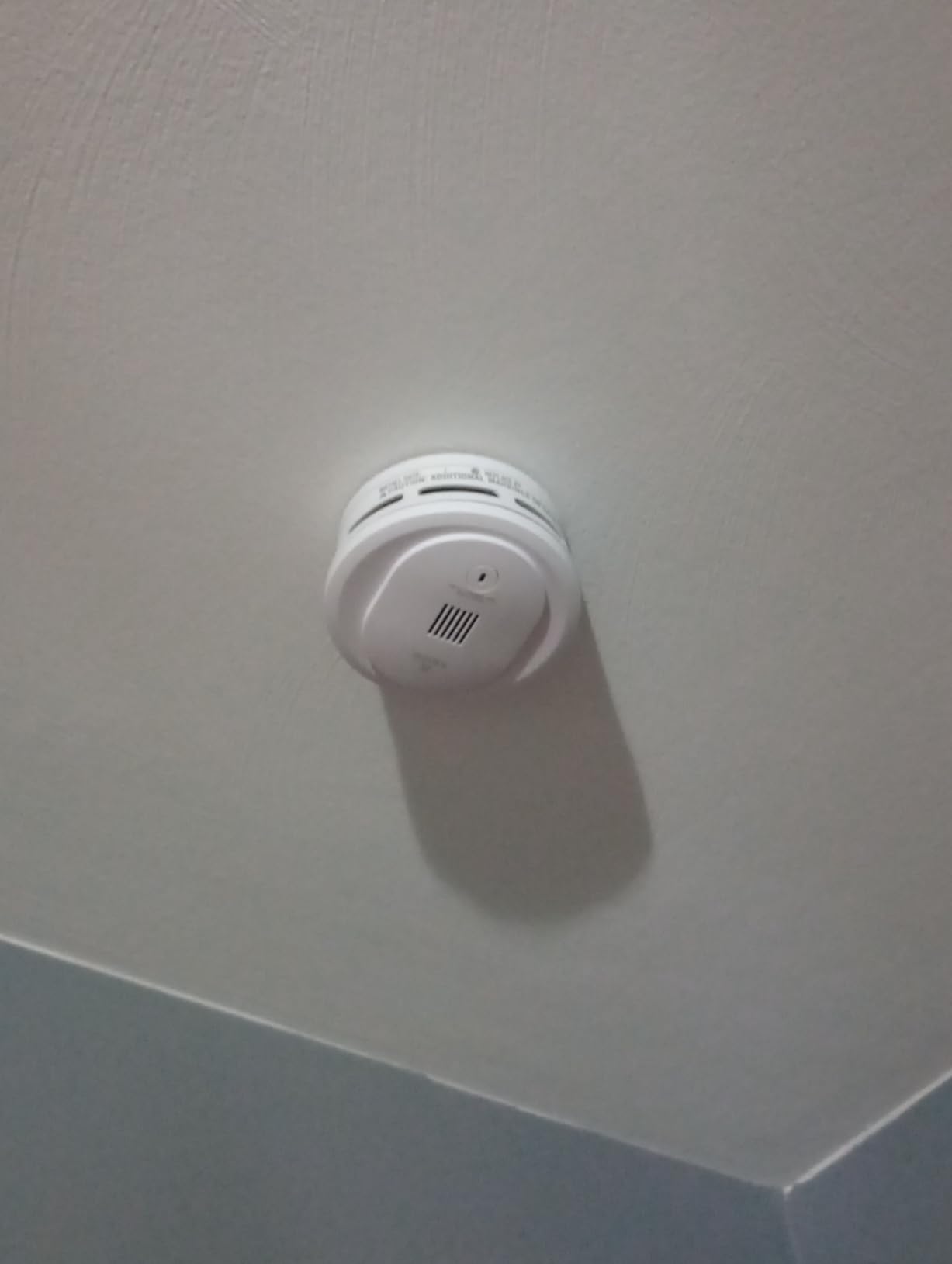 Kidde Smoke Detector, AA Battery Operated, Compact Size, LED Status Light, 85 dB Alarm, 4-inches, 10SDR customer photo 2