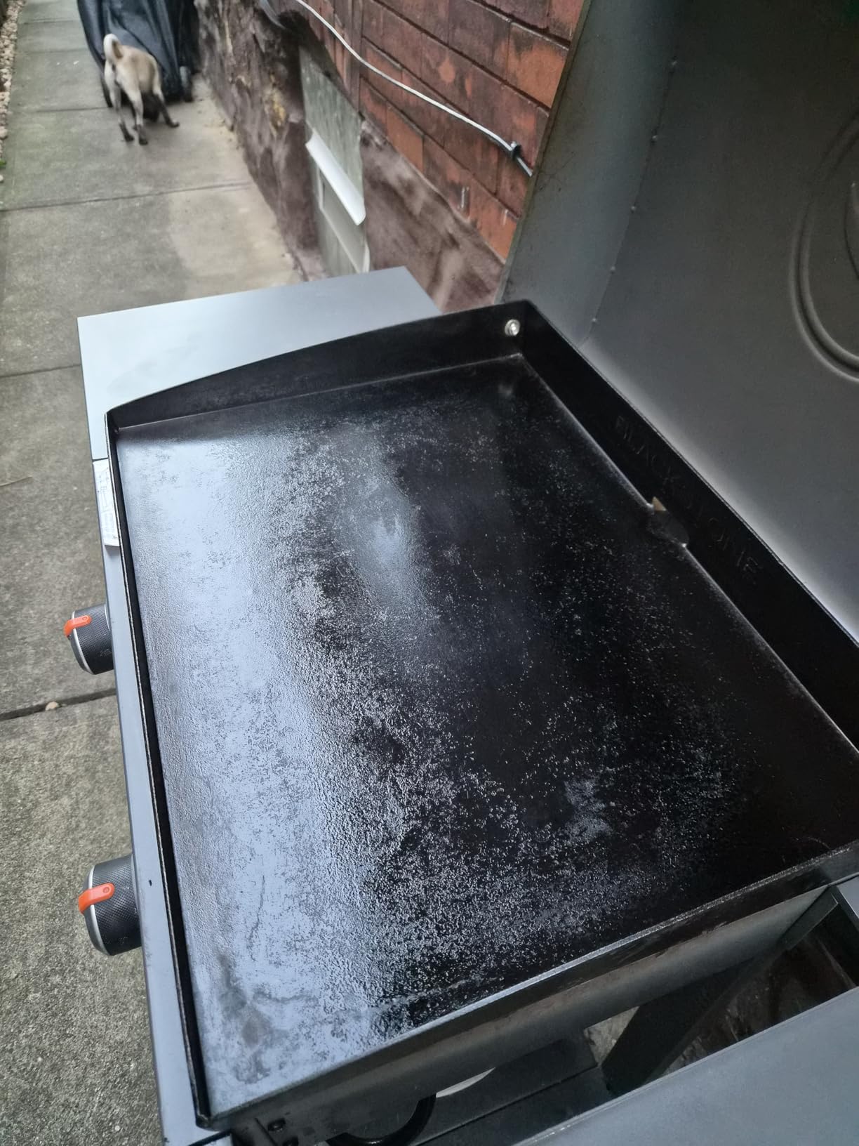 CARON & DOUCET Griddle Seasoning & Cast Iron Conditioner 2 in 1 Formula | Best For Maintaining, Protecting & Conditioning Griddle! customer photo 2