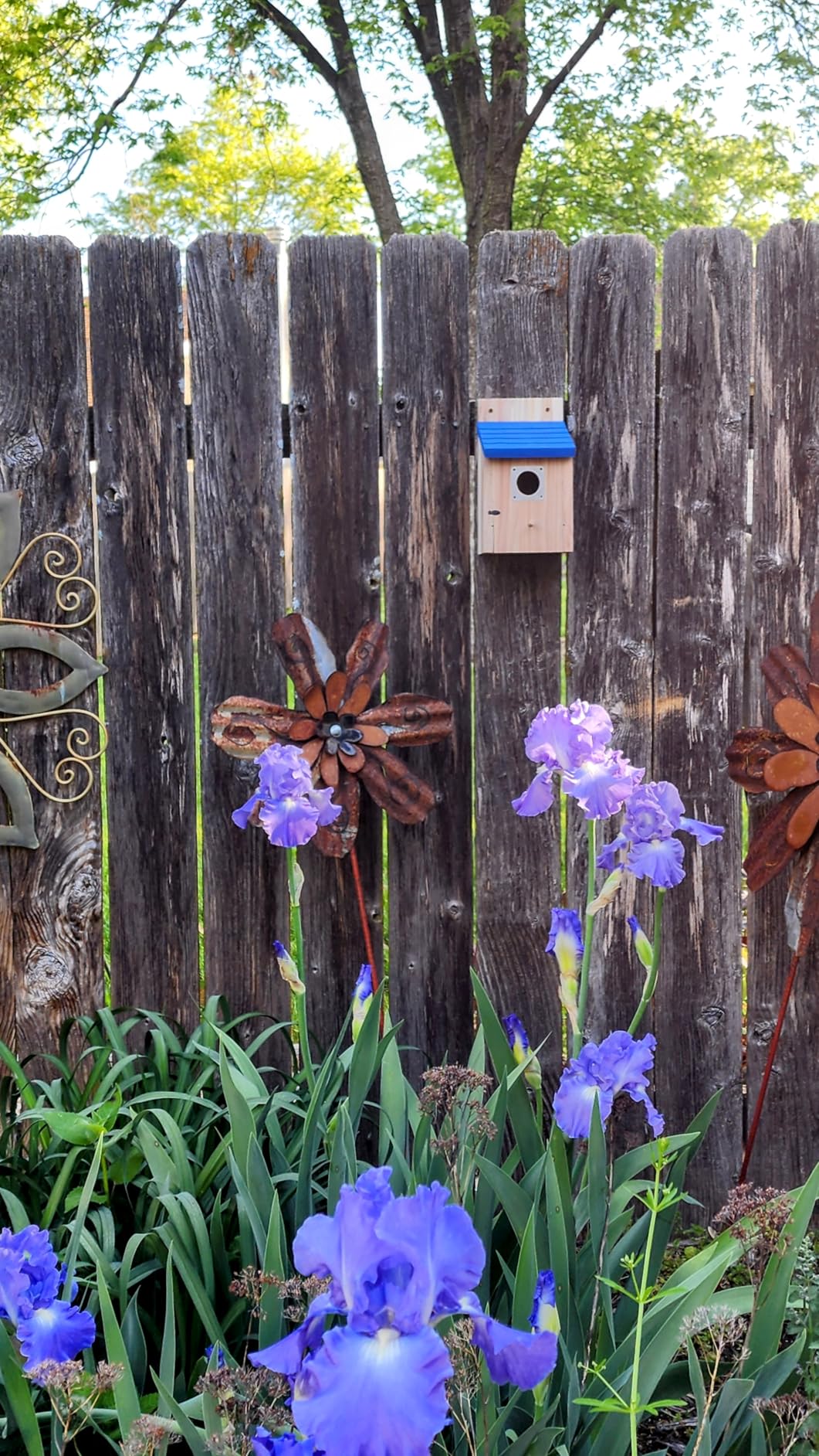 Dreyoo 2 Pack Cedar Bluebird Box Houses for Outside, 1-1/2'' Entrance Hole with Metal Guard customer photo 1
