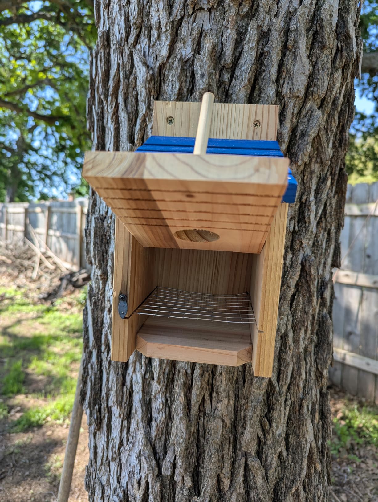 Dreyoo 2 Pack Cedar Bluebird Box Houses for Outside, 1-1/2'' Entrance Hole with Metal Guard customer photo 2