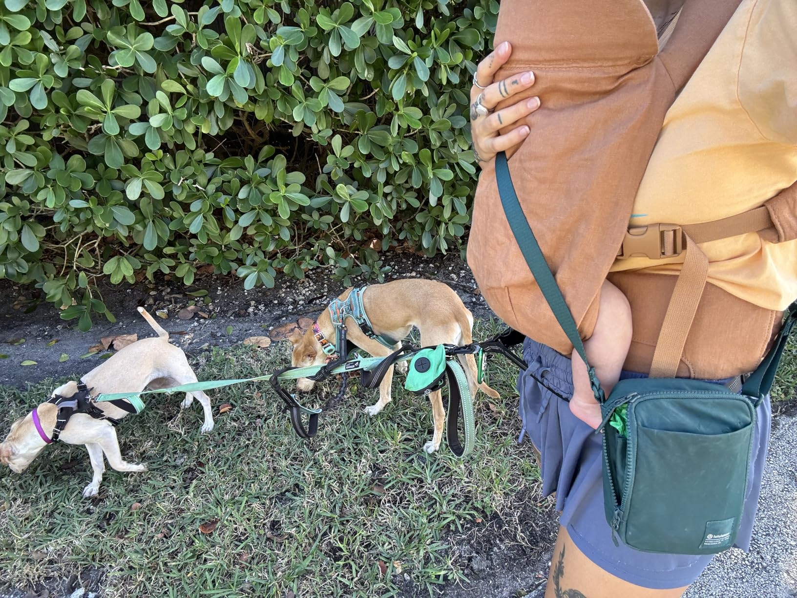 WildBird Aerial Buckle Carrier - 2-24 Months - Standard (XS-XL) Raven - Front or Back Carry - Cross Straps, Lumbar Support, Headrest - Hip Healthy customer photo 2